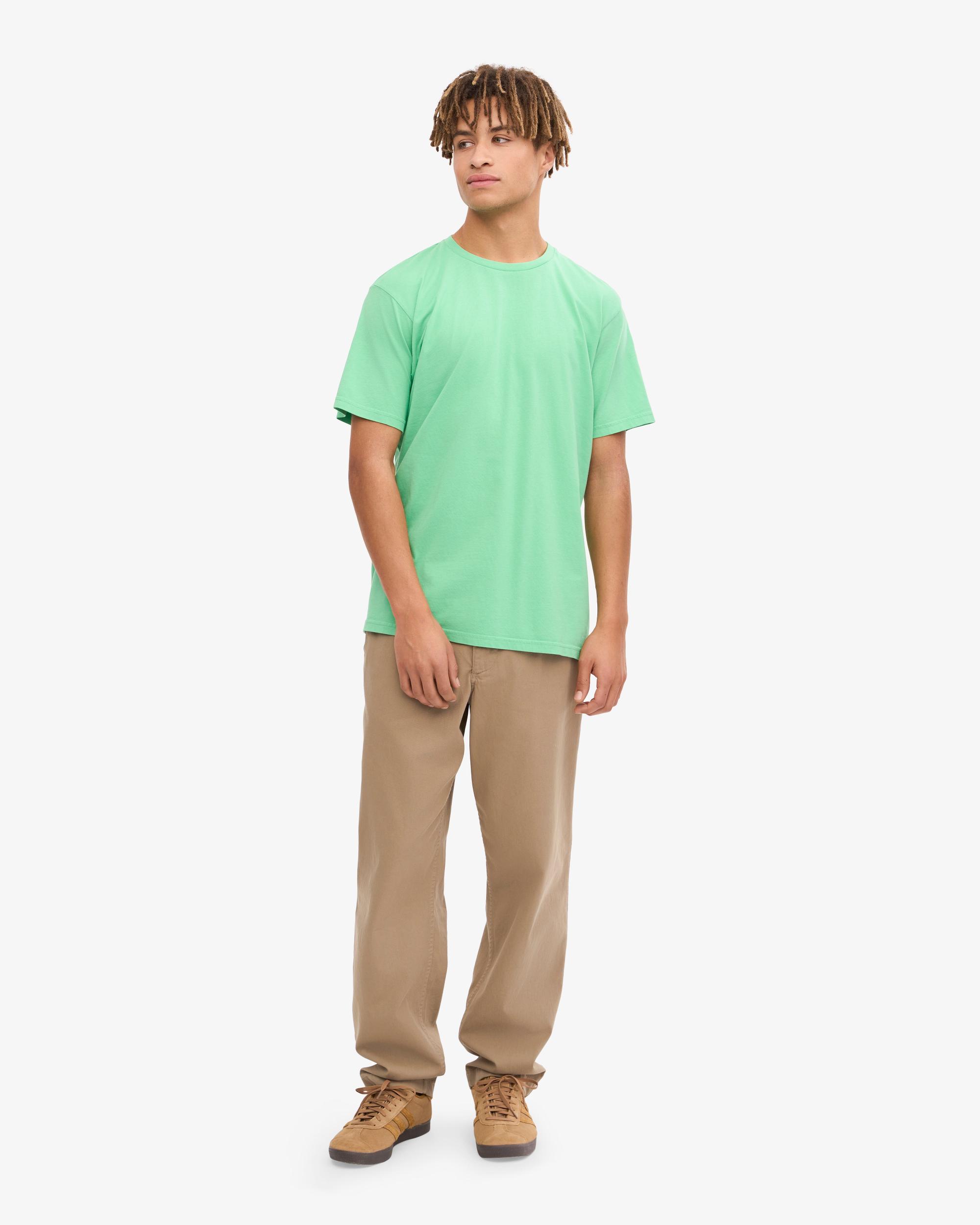 Classic Organic Tee - Spring Green Product Image