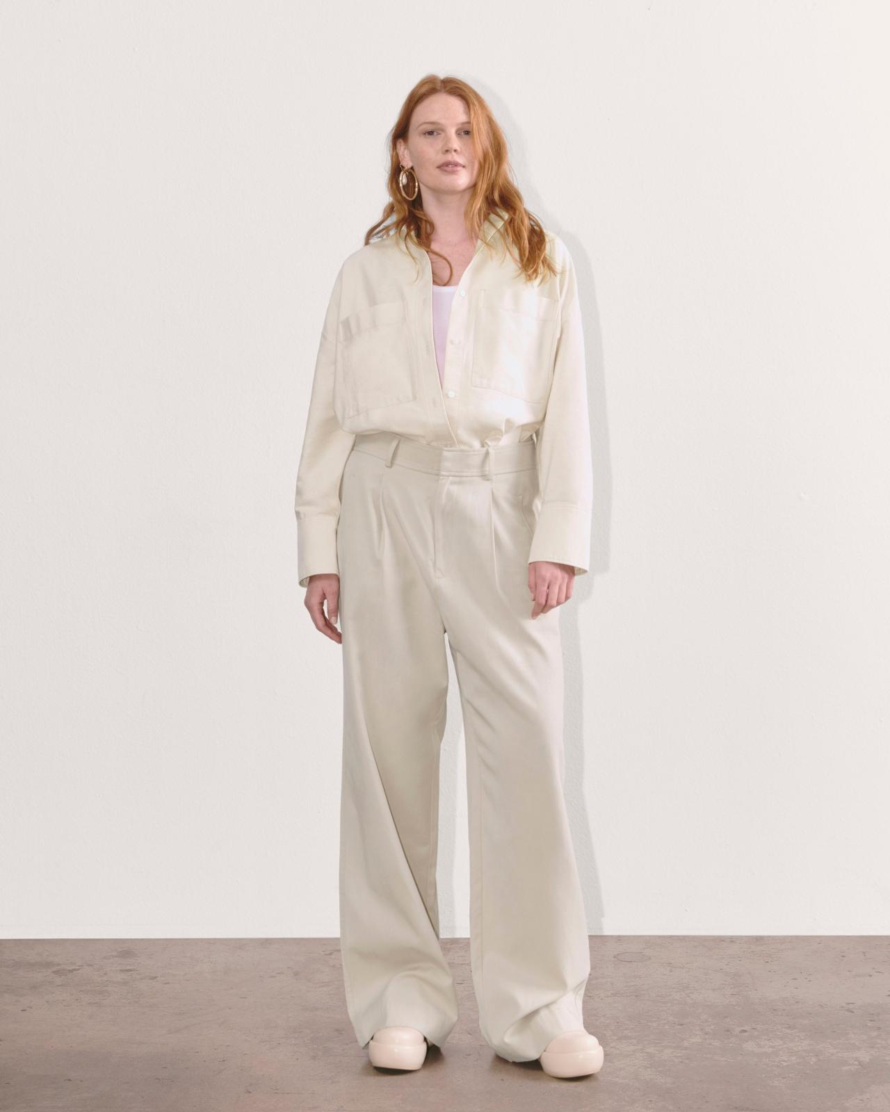 Womens Draper Pleated Pant in Buttersmooth by Everlane Product Image