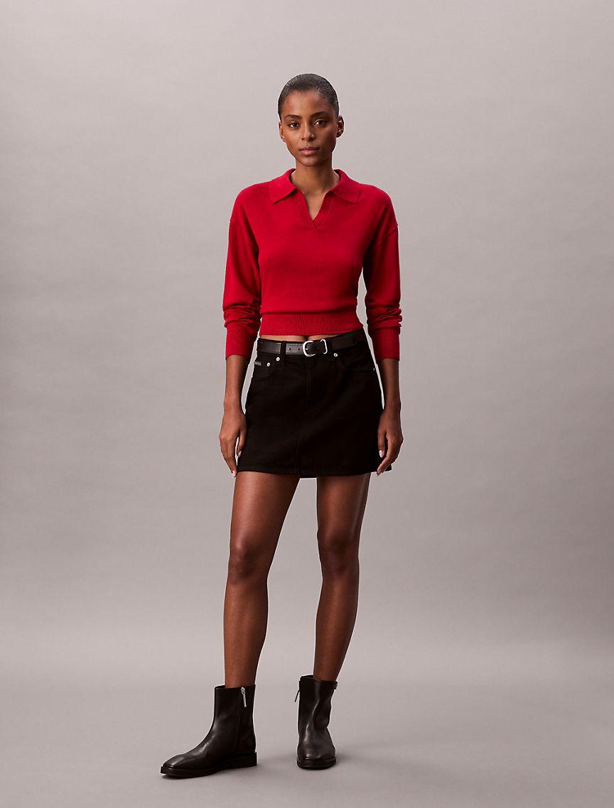 Merino Wool Blend Relaxed Polo Sweater Product Image