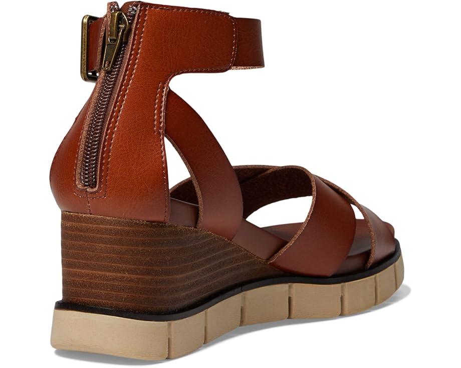 Ophidia Product Image