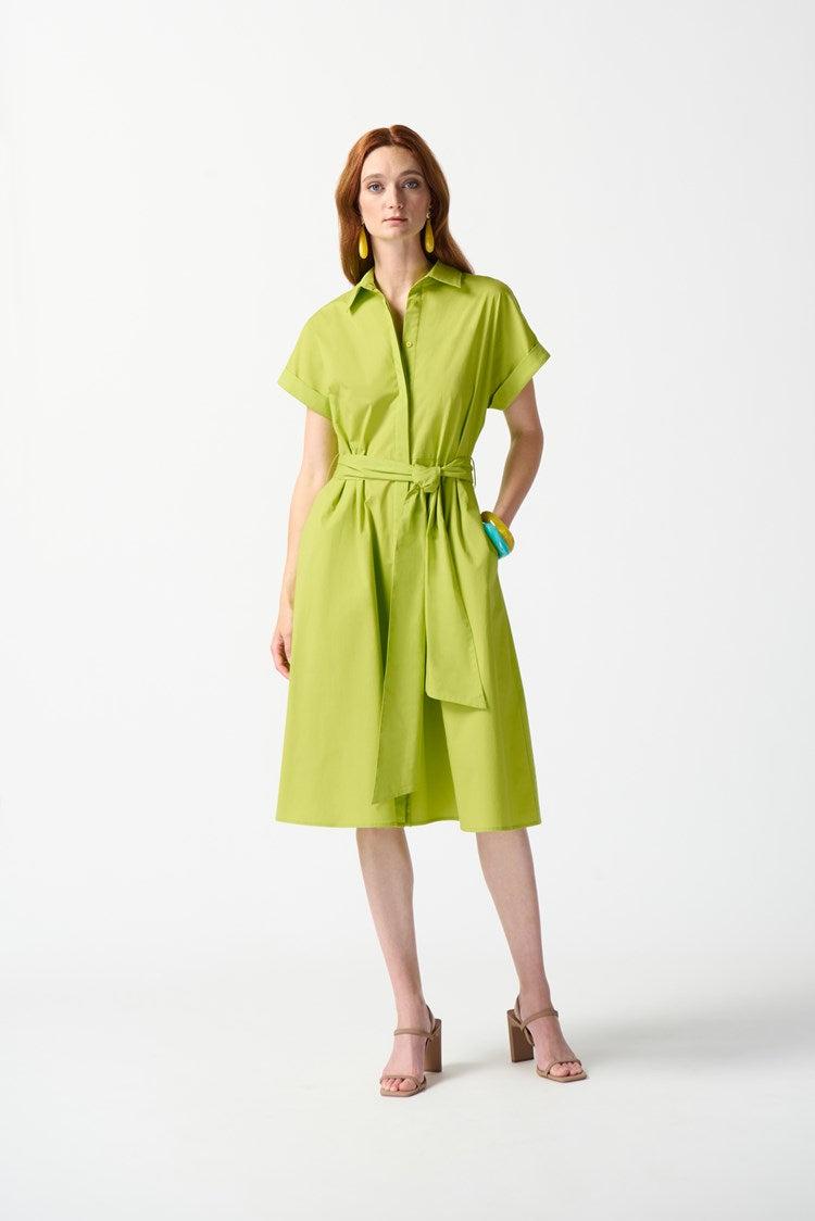 Woven Fit and Flare Shirt Dress Product Image