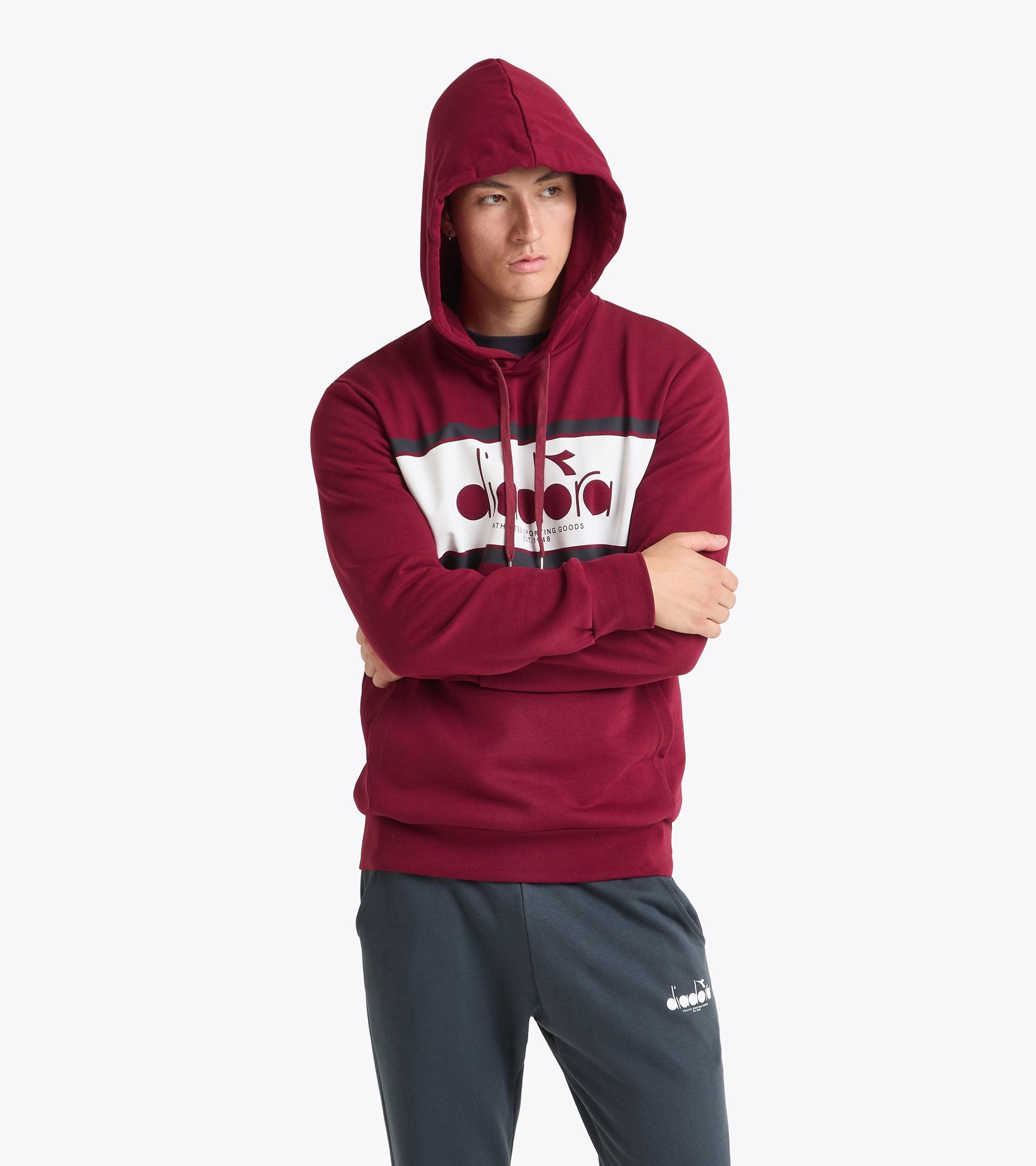 HOODIE LOGO Product Image