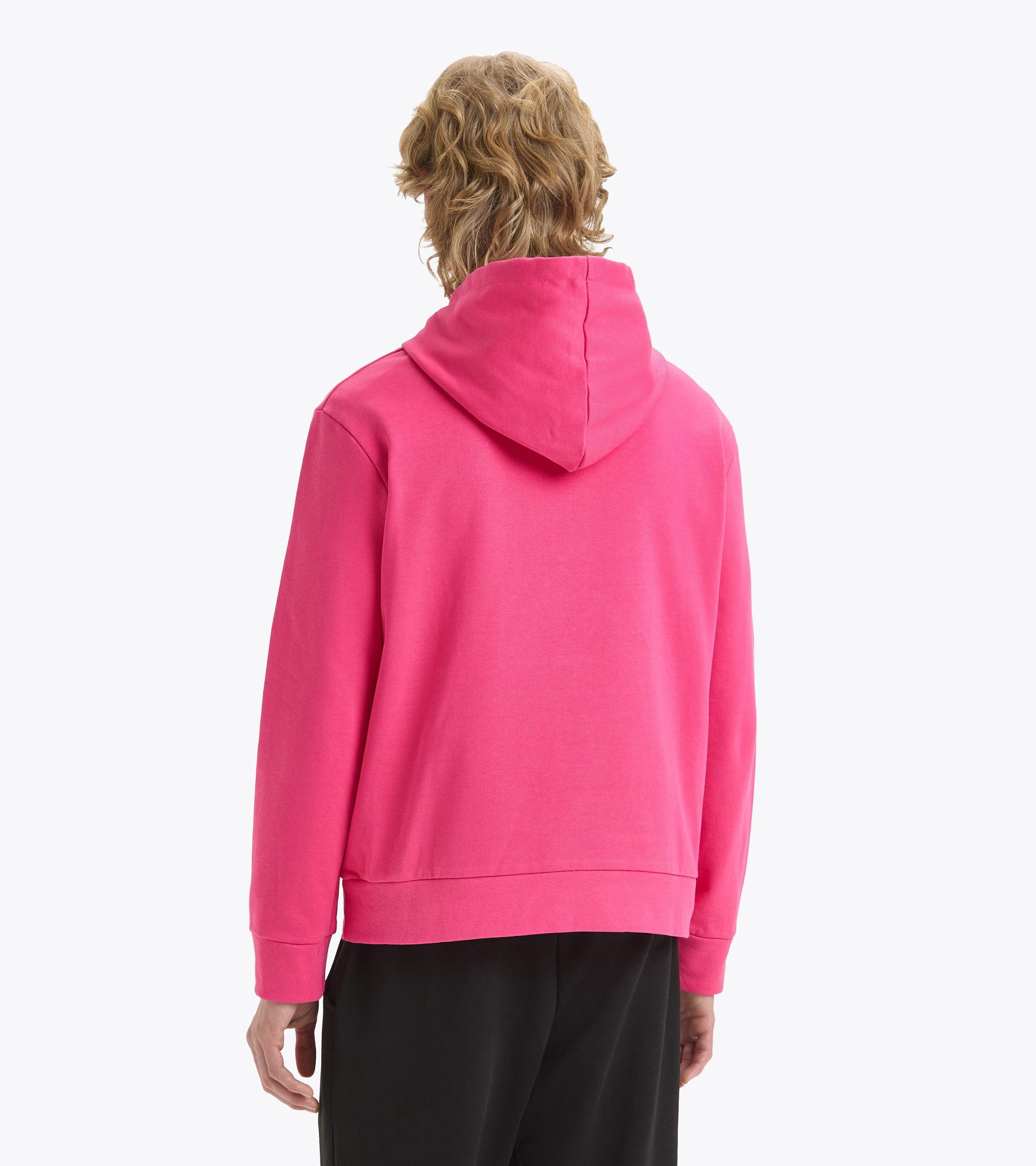 HOODIE LOGO Product Image