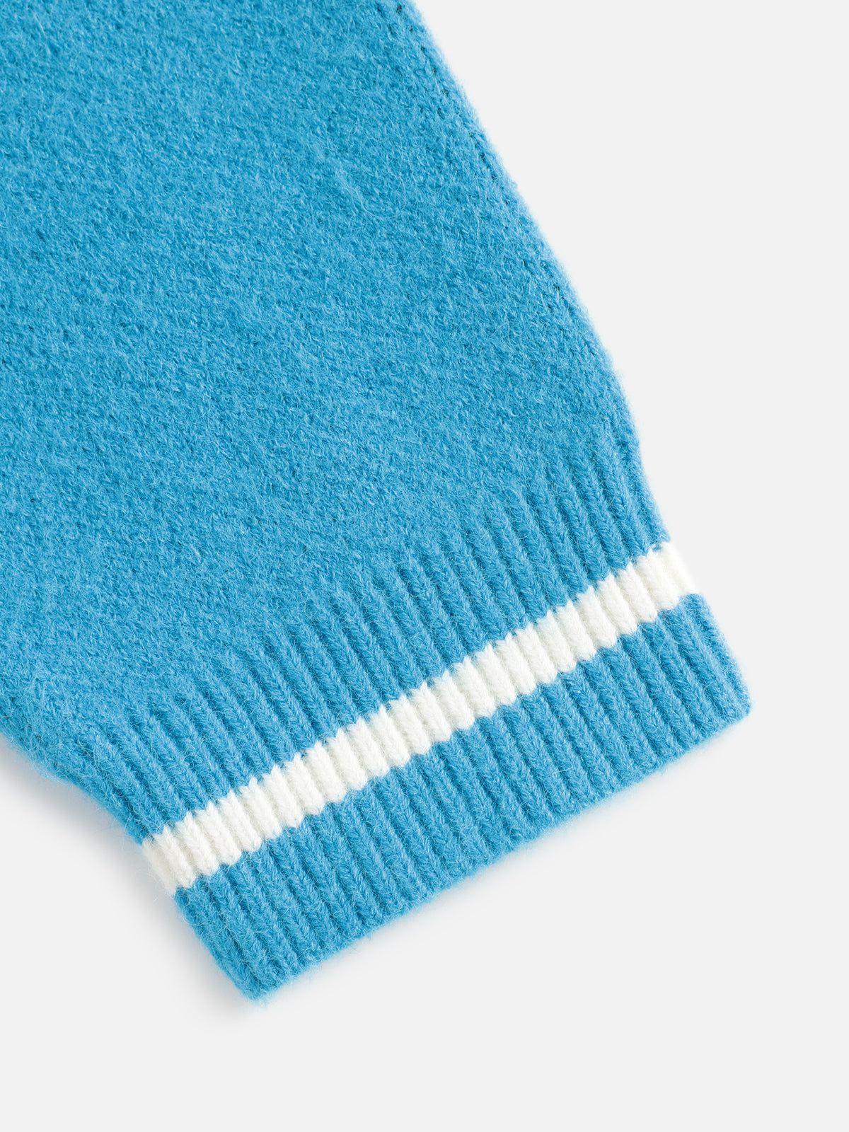 Aelfric Eden Floral 77 Color Blocking Polo Sweater Product Image