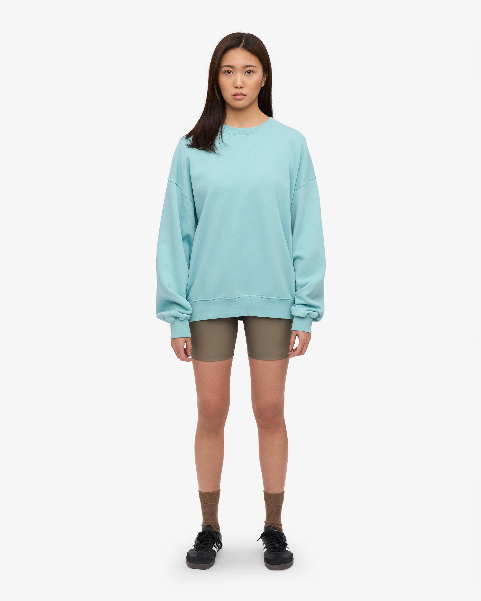 Organic Oversized Crew - Oyster Grey Product Image