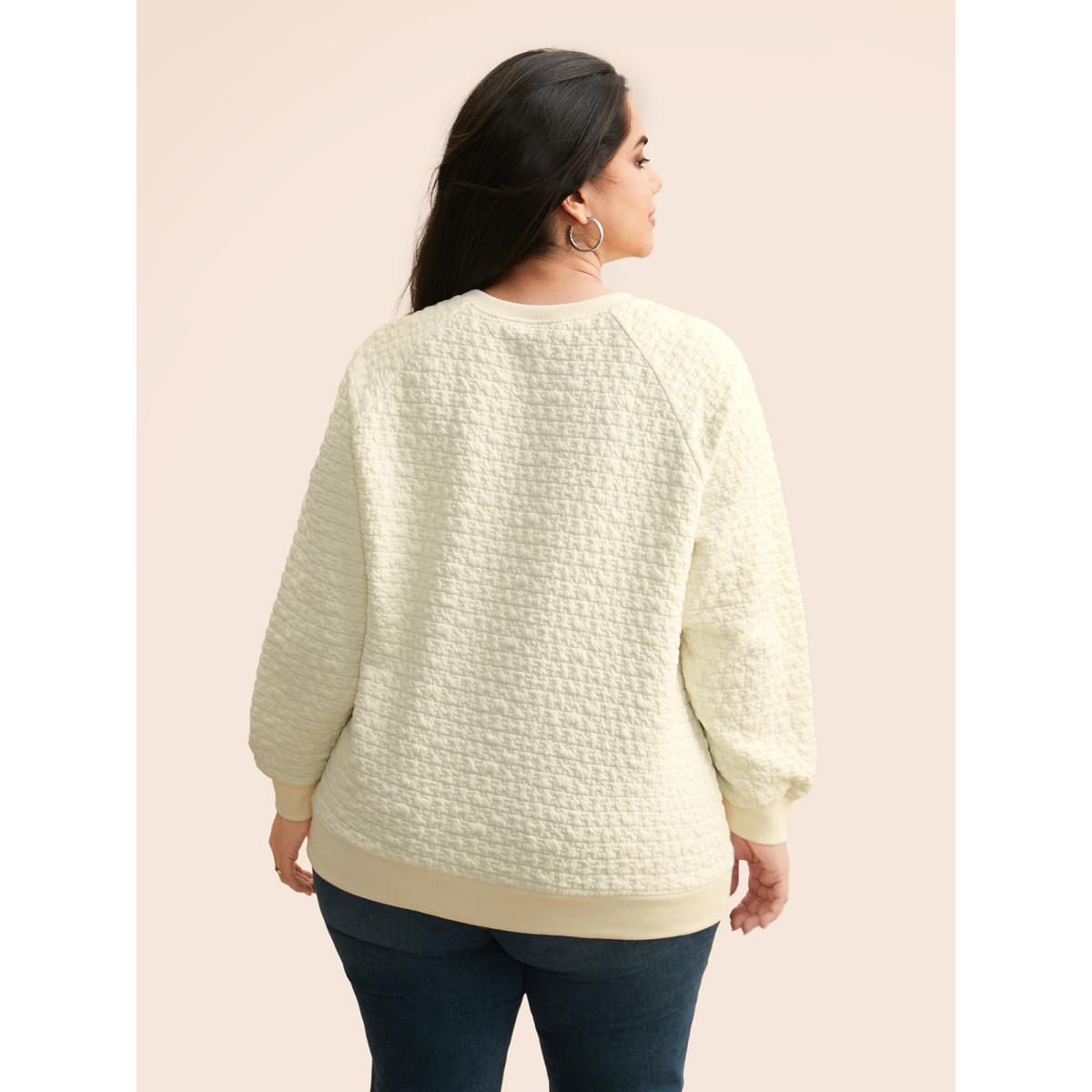 Plus Size Plain Textured Raglan Sleeve Sweatshirt Women Beige Casual Texture Loose Round Neck Everyday Sweatshirts BloomChic 14-16/1X Product Image