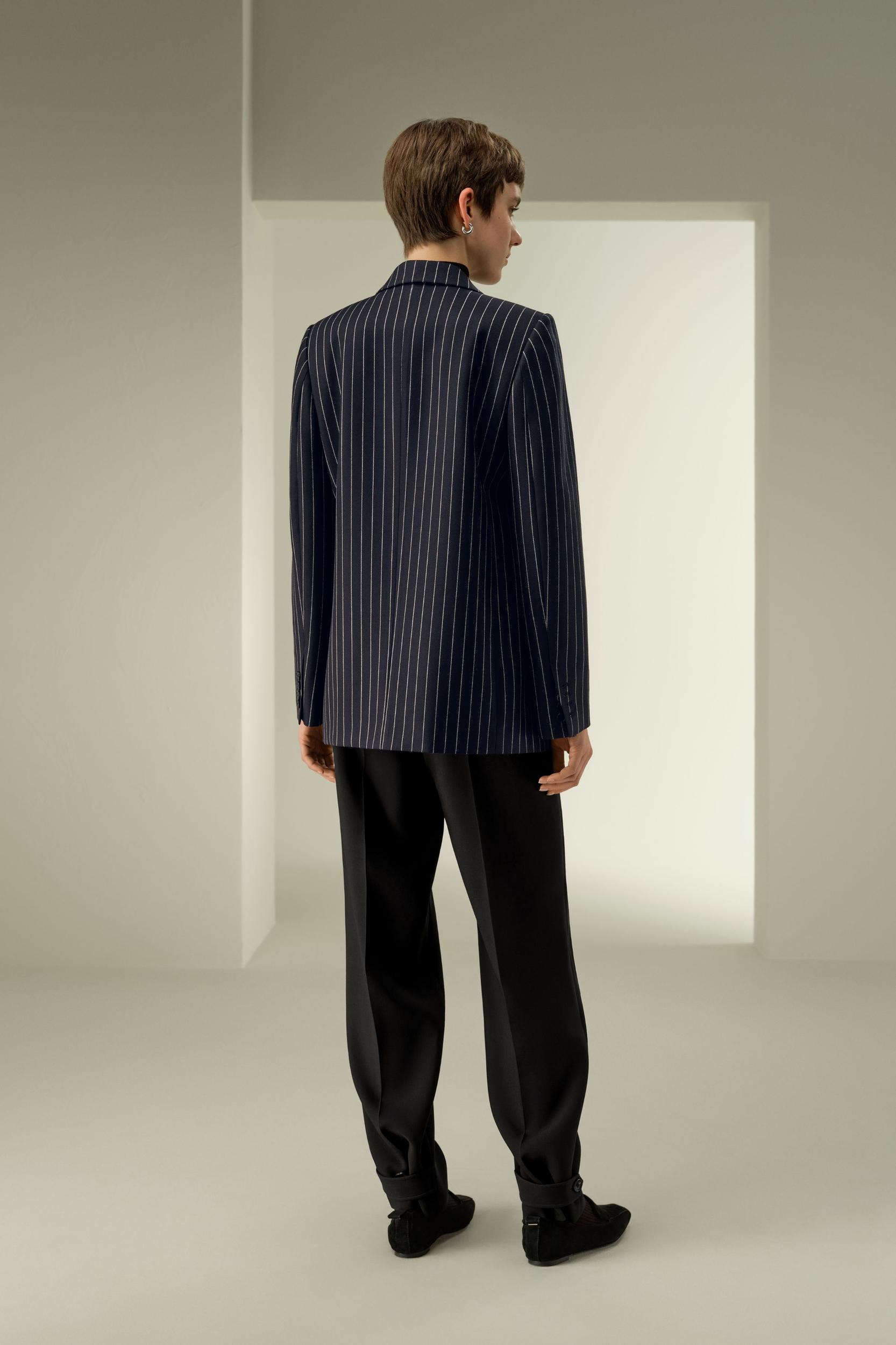 Single Breasted Striped Suit Jacket Product Image