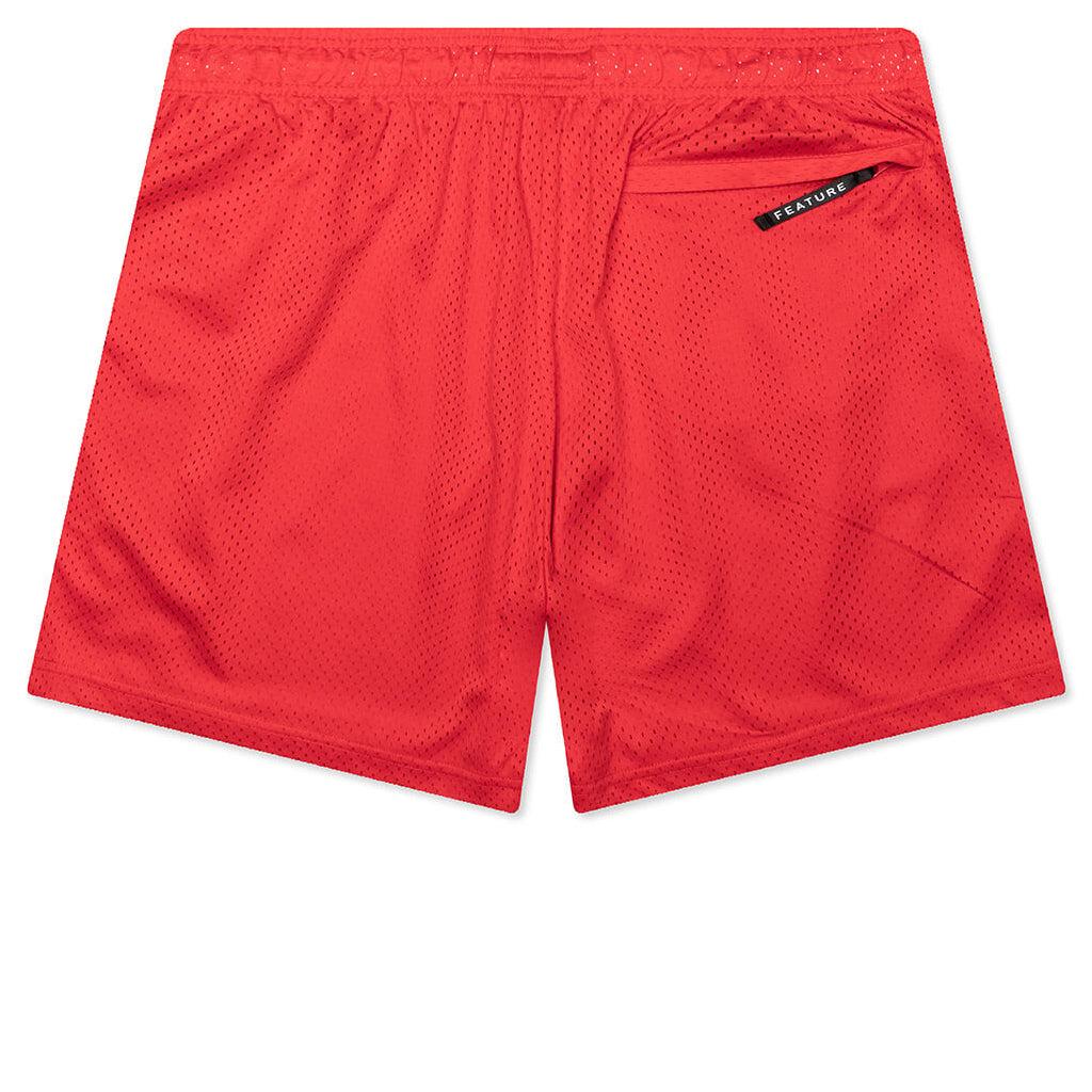 West Mesh Shorts - Desert Oasis Male Product Image
