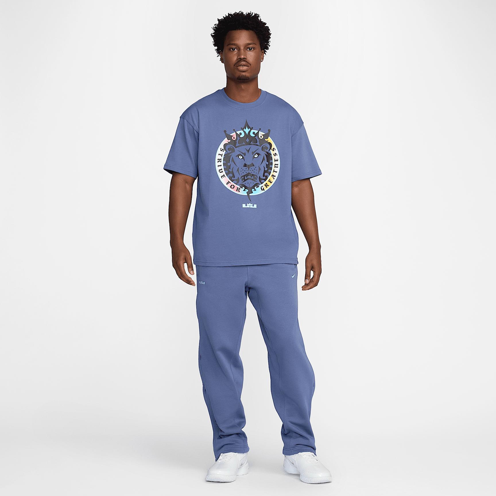 LeBron Men's Max90 Basketball T-Shirt Product Image