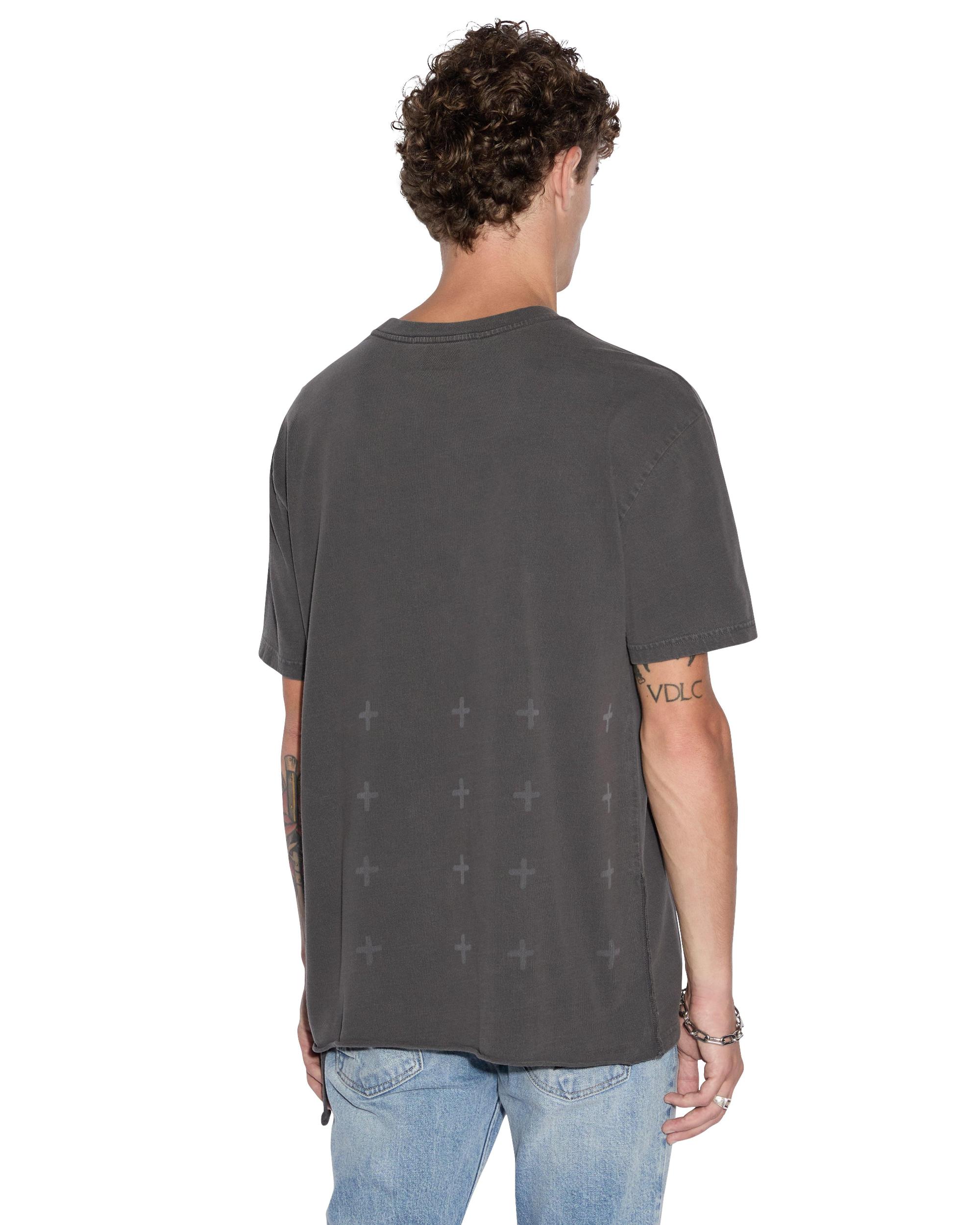 APEX BIGGIE SS TEE FADED BLACK Male Product Image