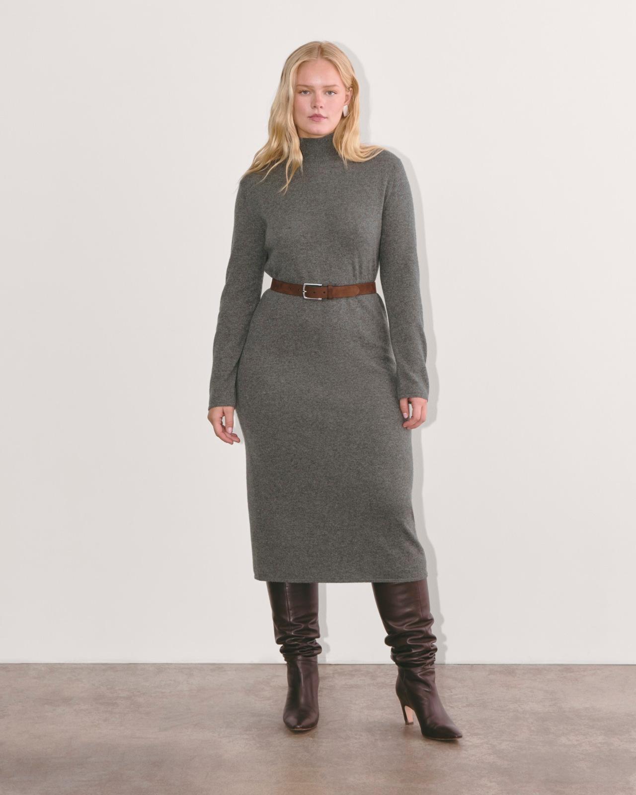 Womens Turtleneck Sweater Dress in Cashmere by Everlane Product Image