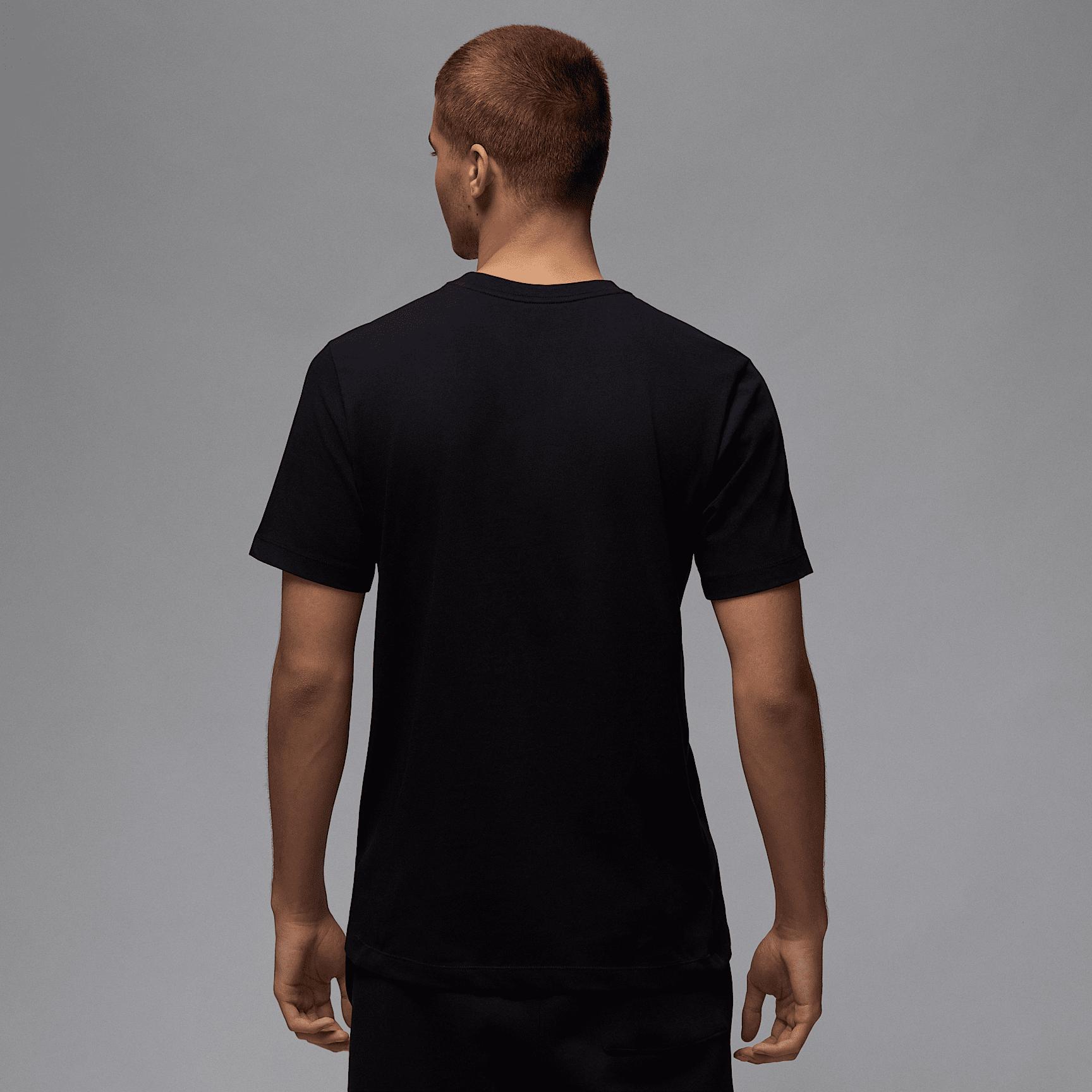 Mens Jordan Air T-Shirt | IB7353-010 Product Image