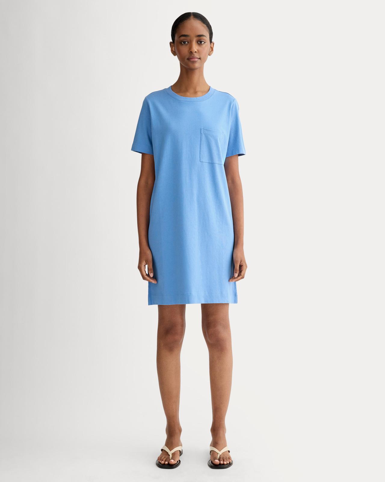 Womens Organic Cotton Weekend Tee Dress by Everlane Product Image