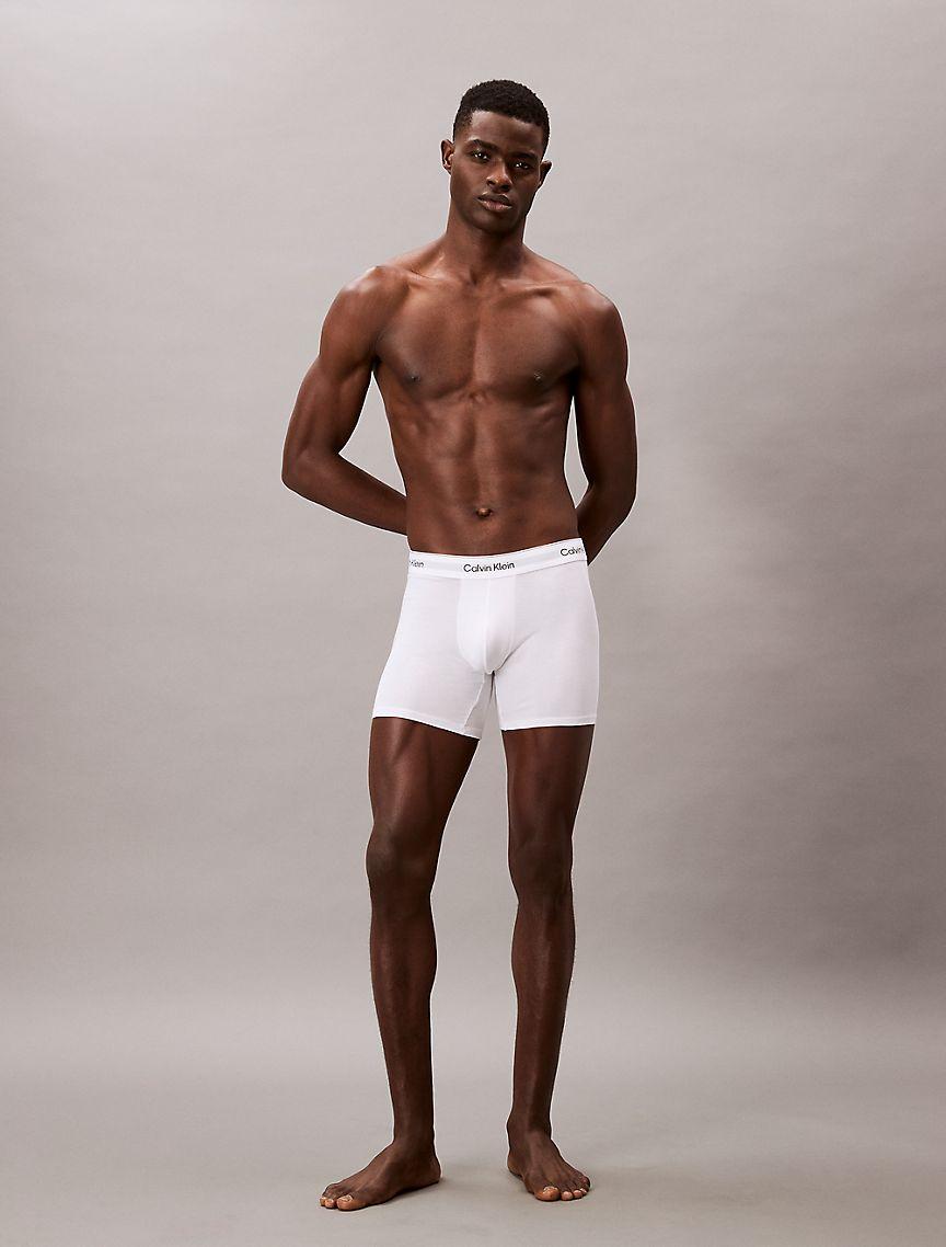 Icon Cotton Stretch 3-Pack Boxer Brief Product Image