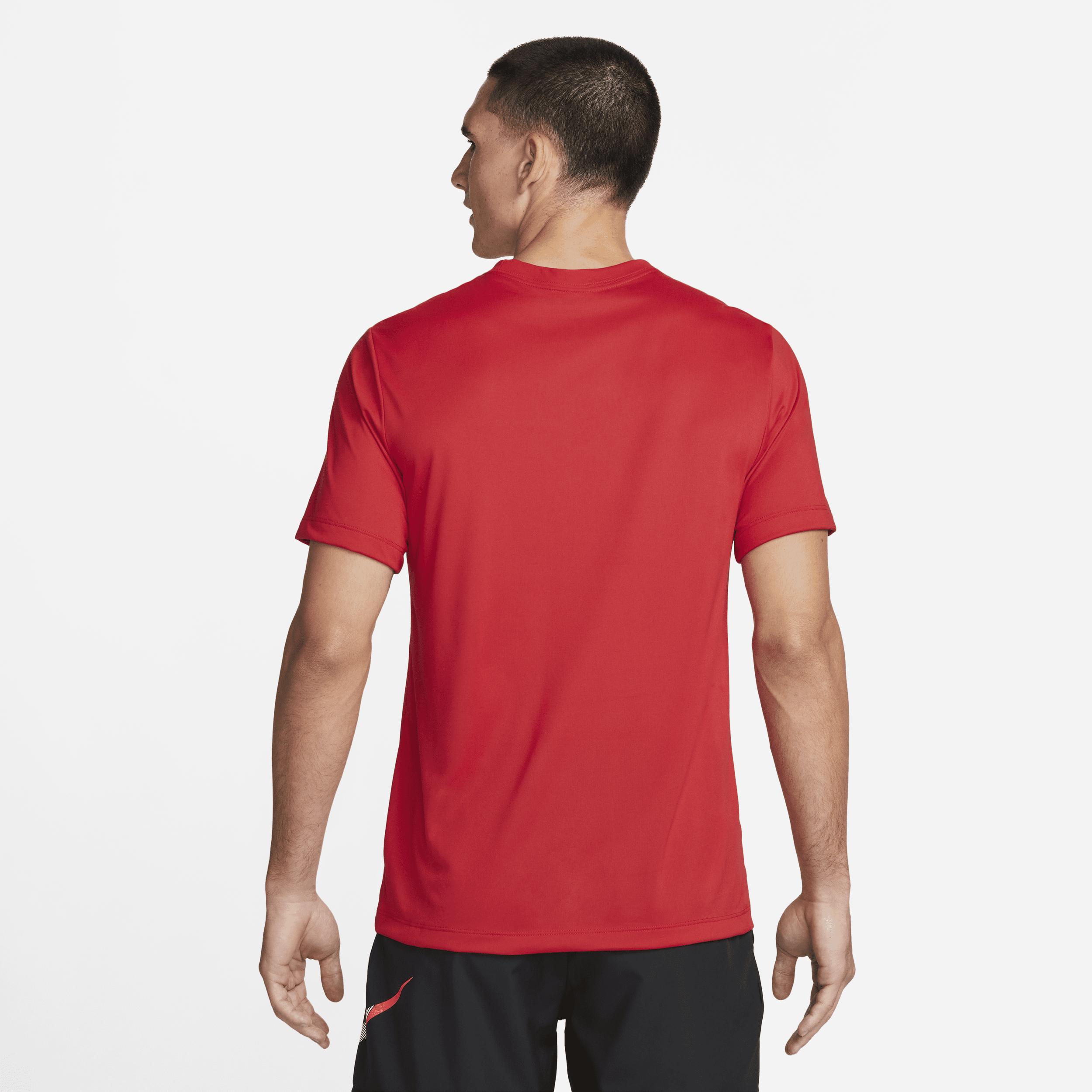 Nike Mens Dri-FIT Legend Fitness T-Shirt | DX0989-657 Product Image