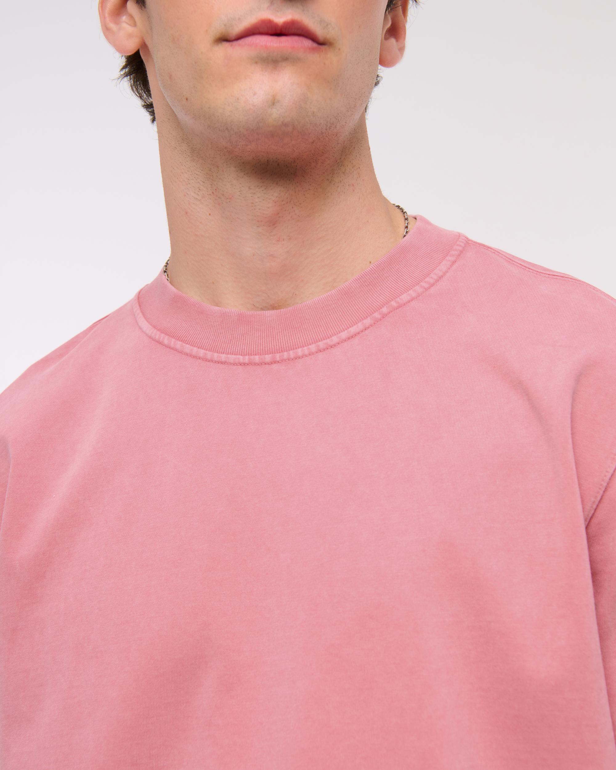 Premium Heavyweight 2.0 Tee Product Image