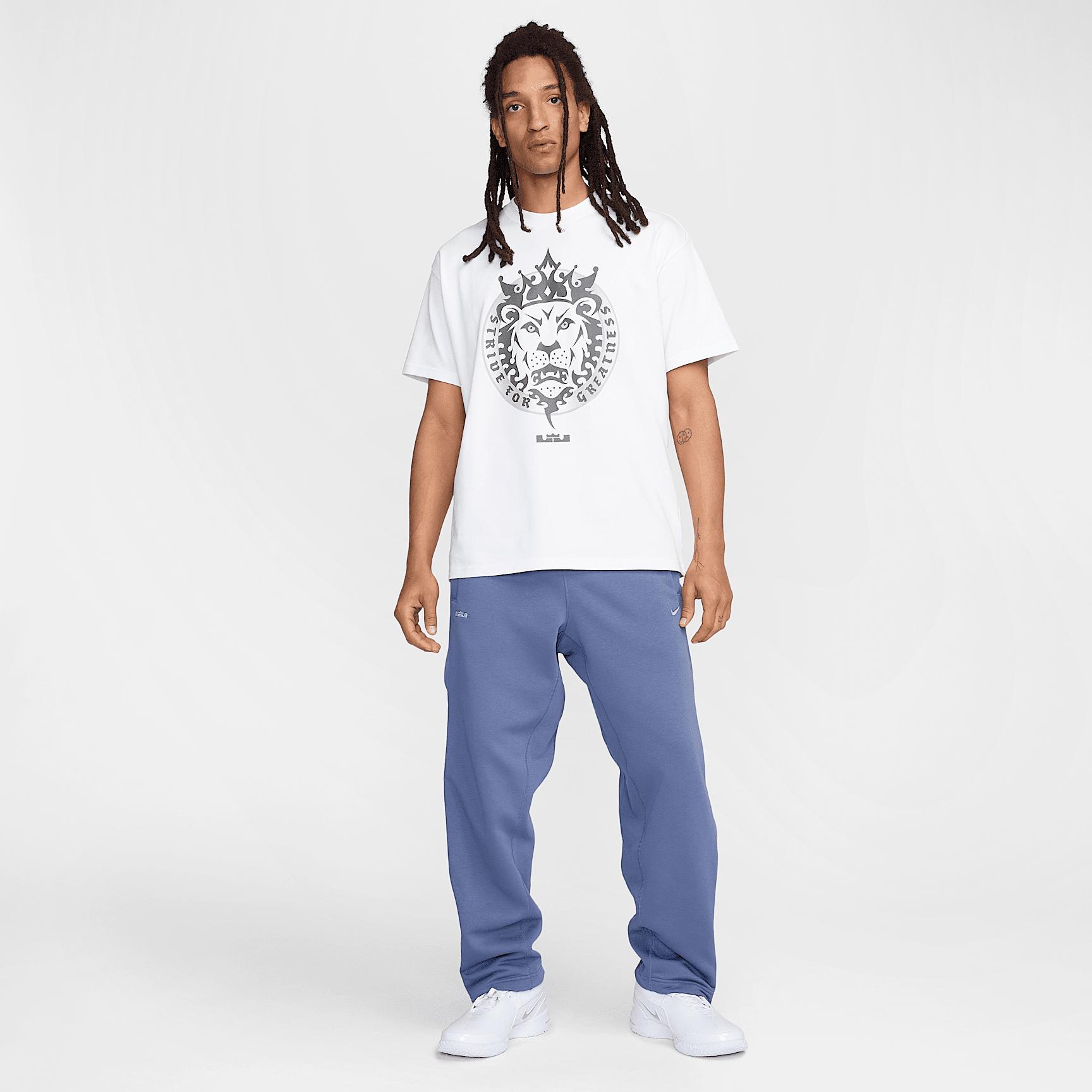 LeBron Men's Max90 Basketball T-Shirt Product Image