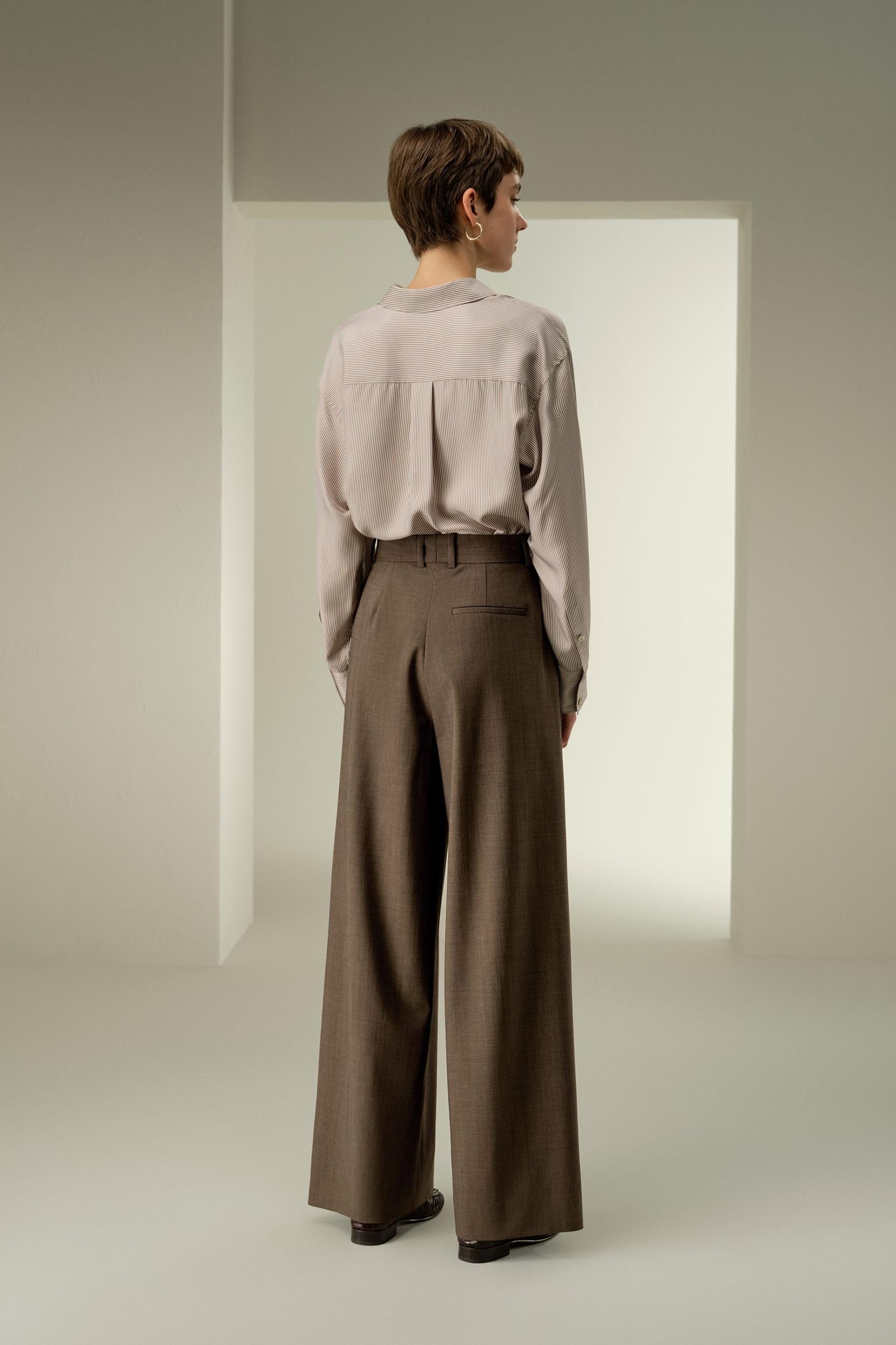 Front-Pleated Silk-Wool Blend Trousers Product Image