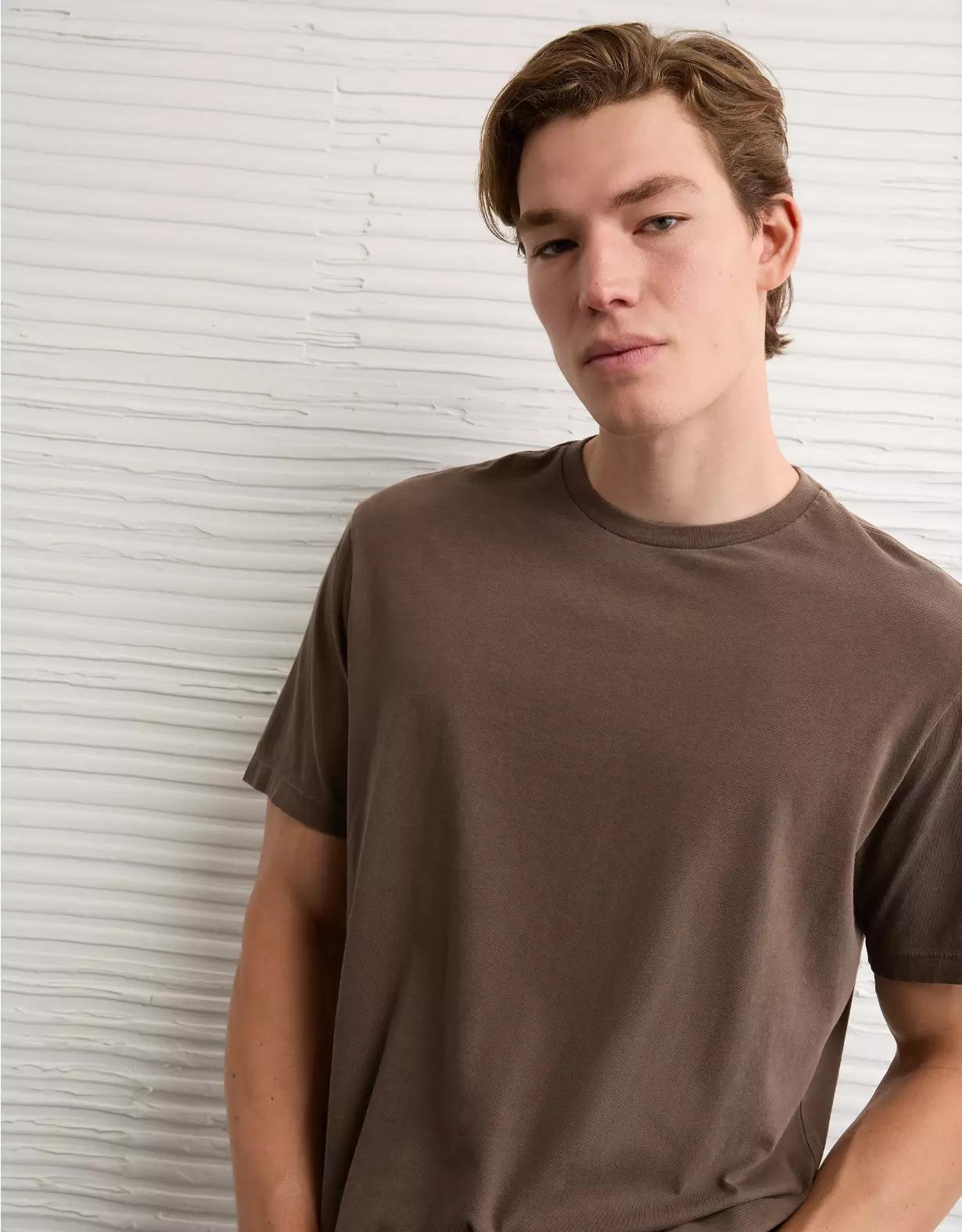 AE Lived-In T-Shirt Product Image