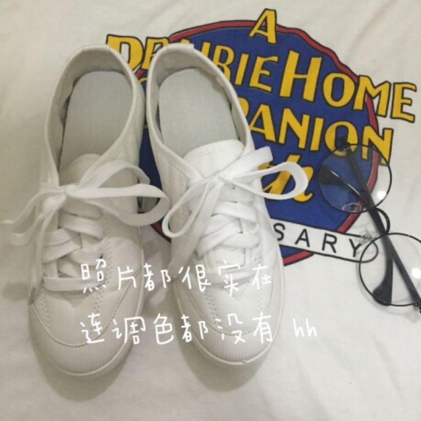 Plain Lace Up Canvas Sneaker Product Image