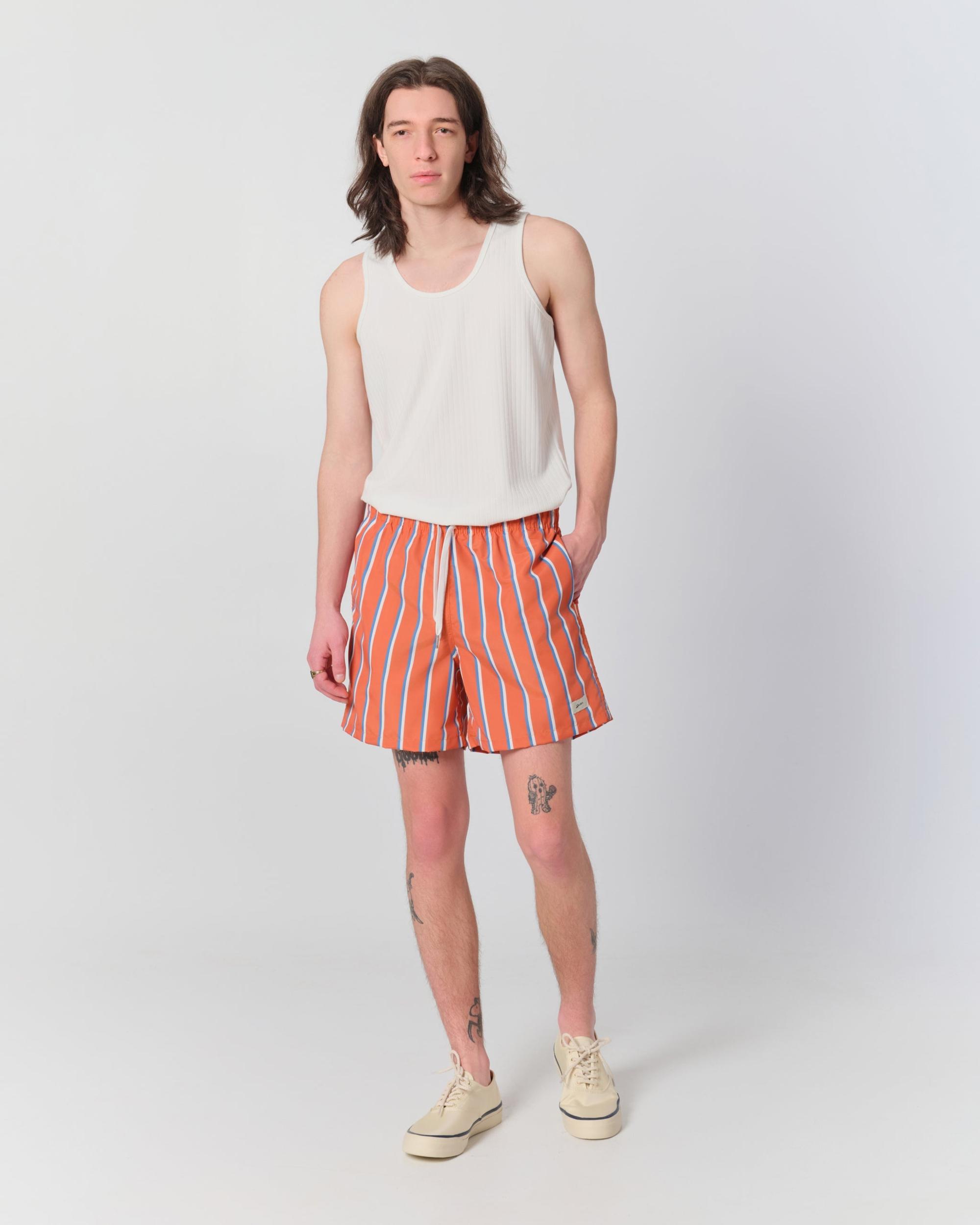 Blue & White Fine Stripe Swim Trunk Product Image