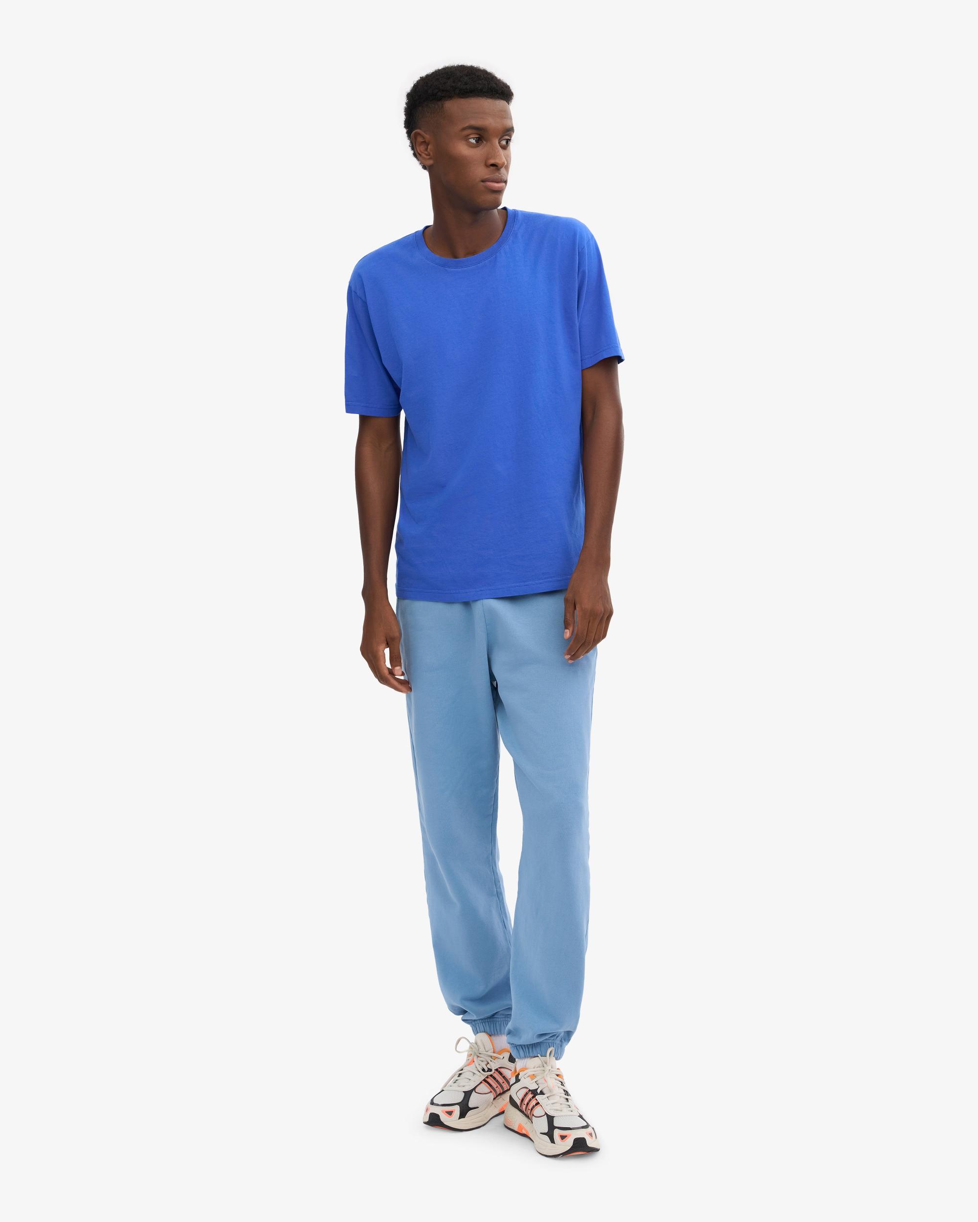 Oversized Organic T-Shirt - Midnight Forest Product Image