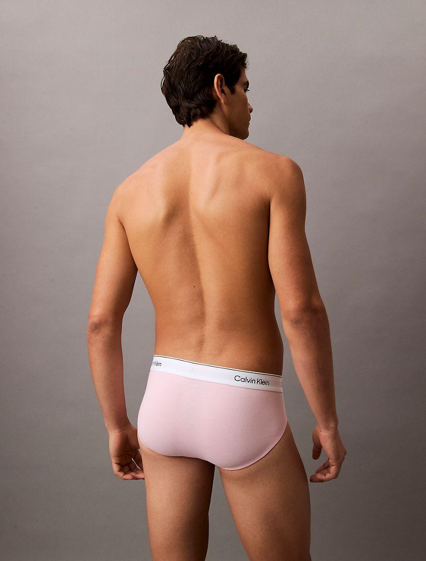 Icon Cotton Stretch 5-Pack Hip Brief Product Image