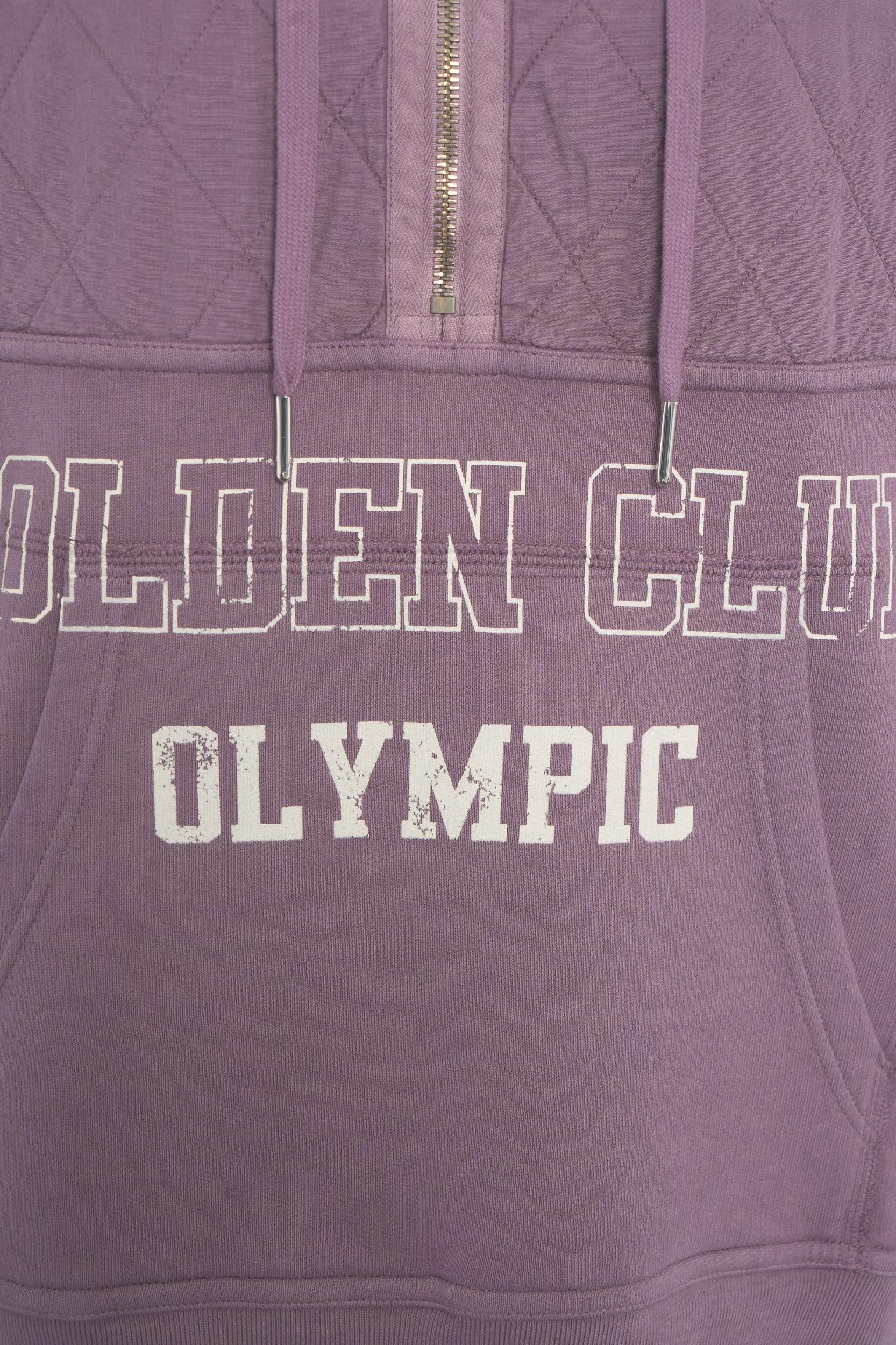 Hoodie with quilted detail Product Image