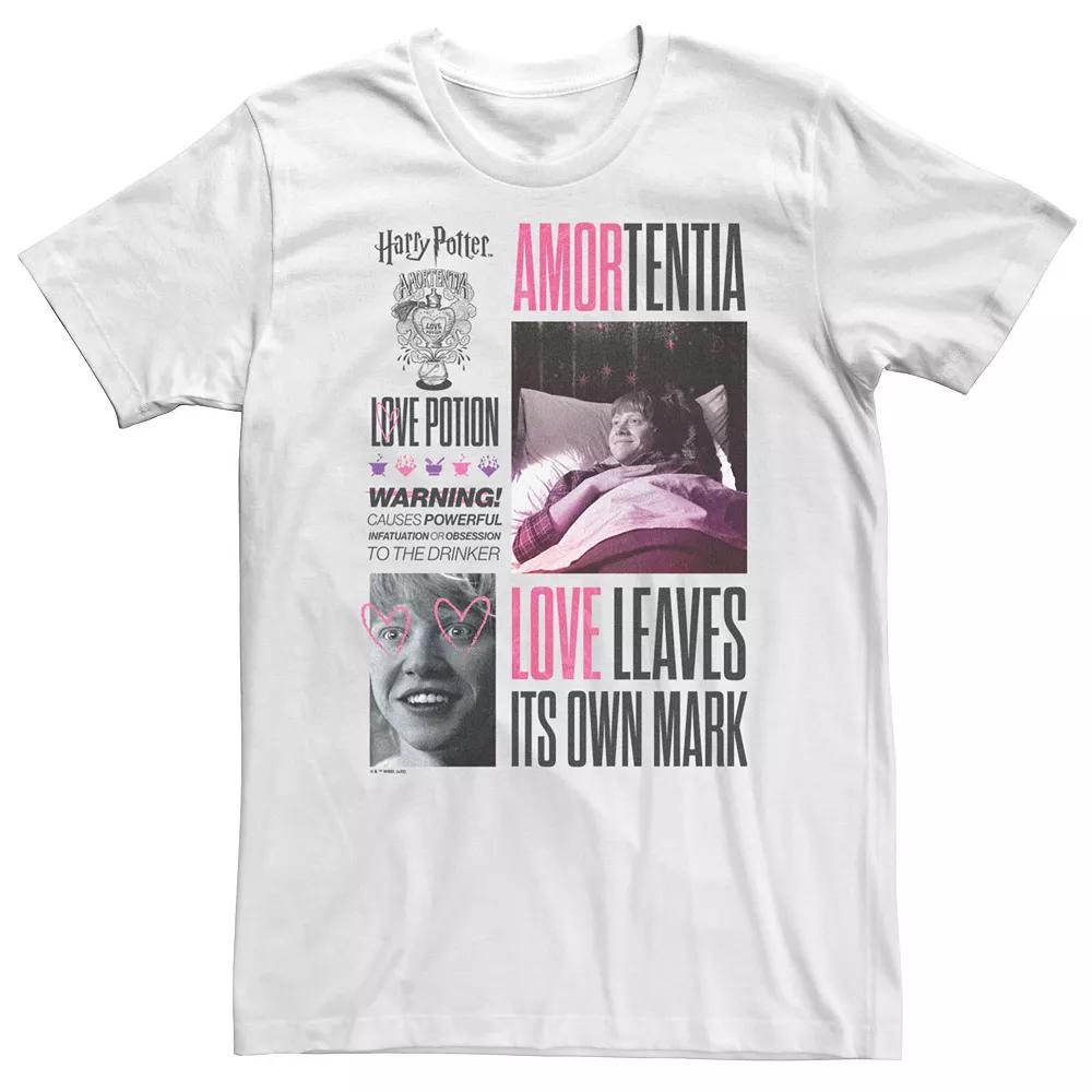 Big & Tall Harry Potter Deathly Hallows 2 Amortentia Love Potion Love Leaves Its Own MarkTee, Men's,  Product Image