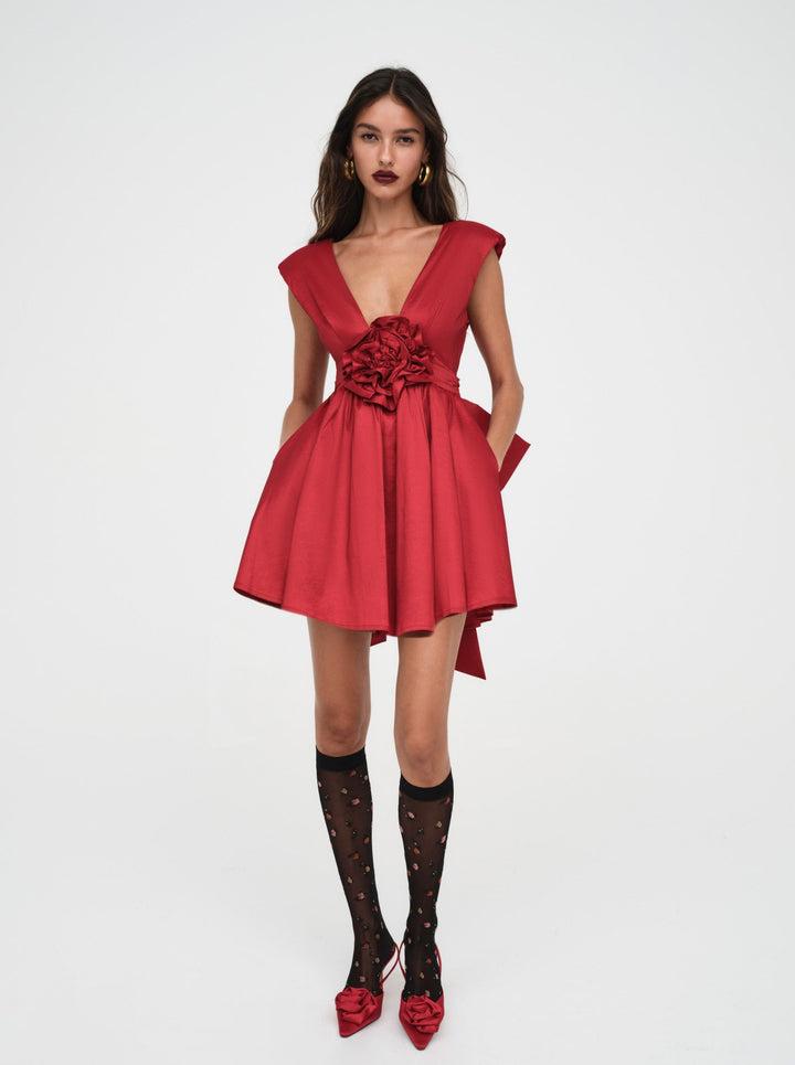 Rose Mini Dress — Red Product Image