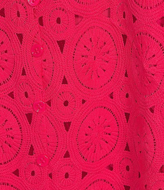 Skies Are Blue Plus Size V-Neck Crochet Mini Dress Product Image