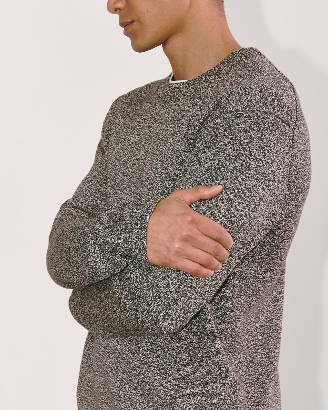 Mens Classic Sweater in Everyday Cotton by Everlane Product Image