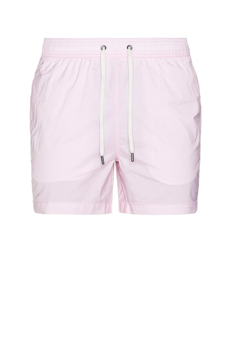 Charles 5" Swim Trunks Product Image