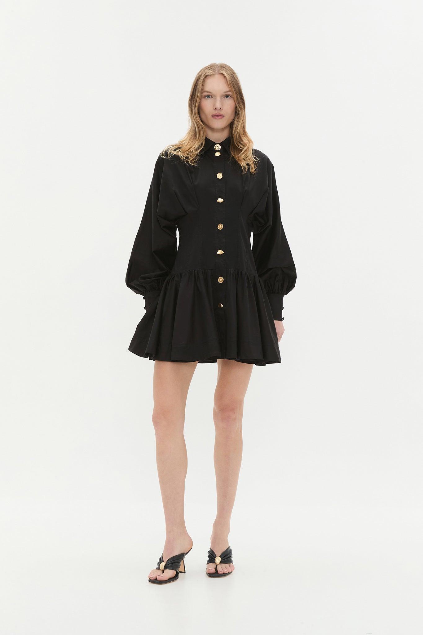 Alexa Long Sleeve Mini Dress Product Image