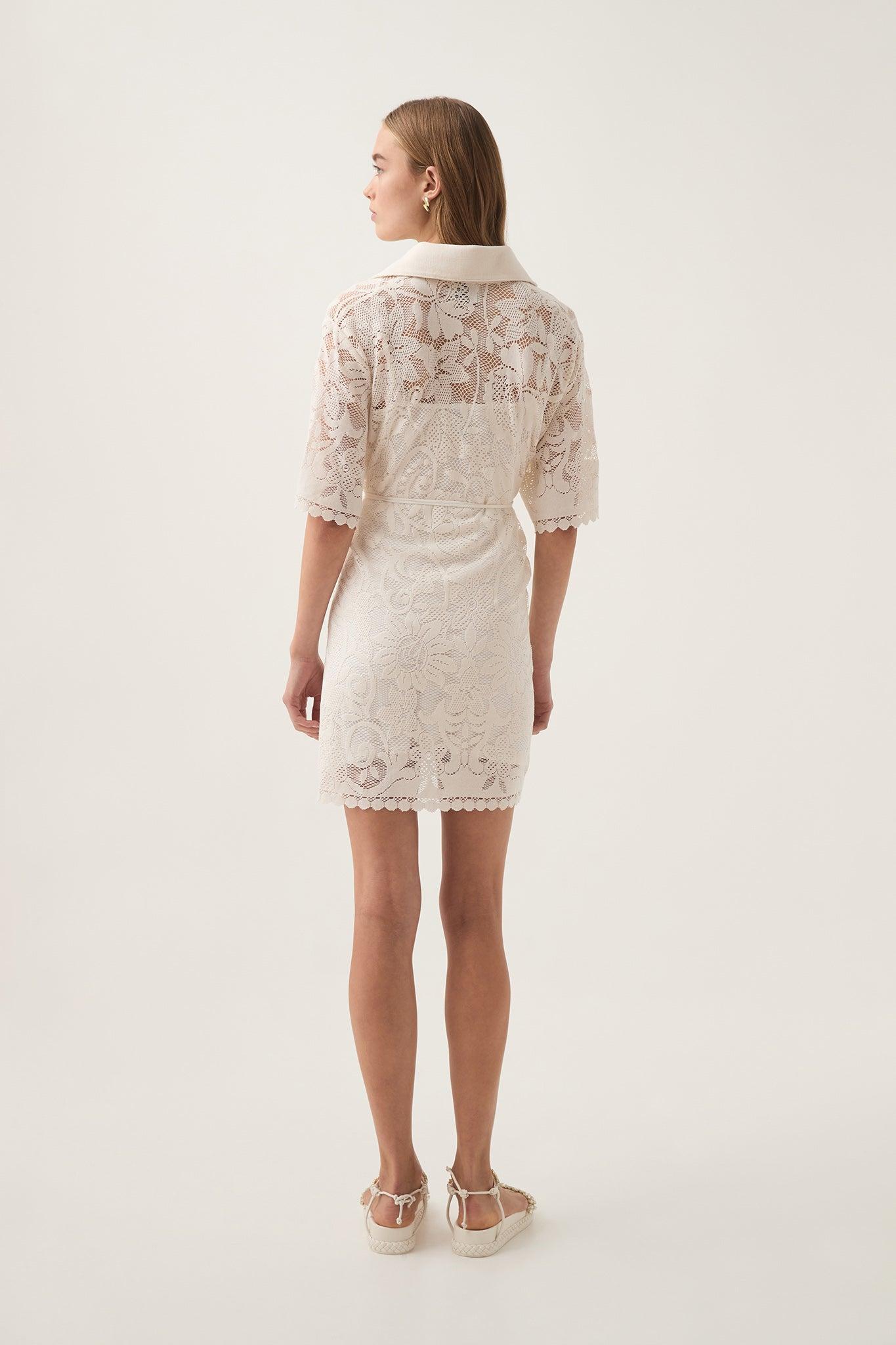 Muses Lace Mini Dress Product Image