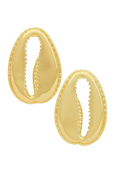 Concha Earrings Product Image