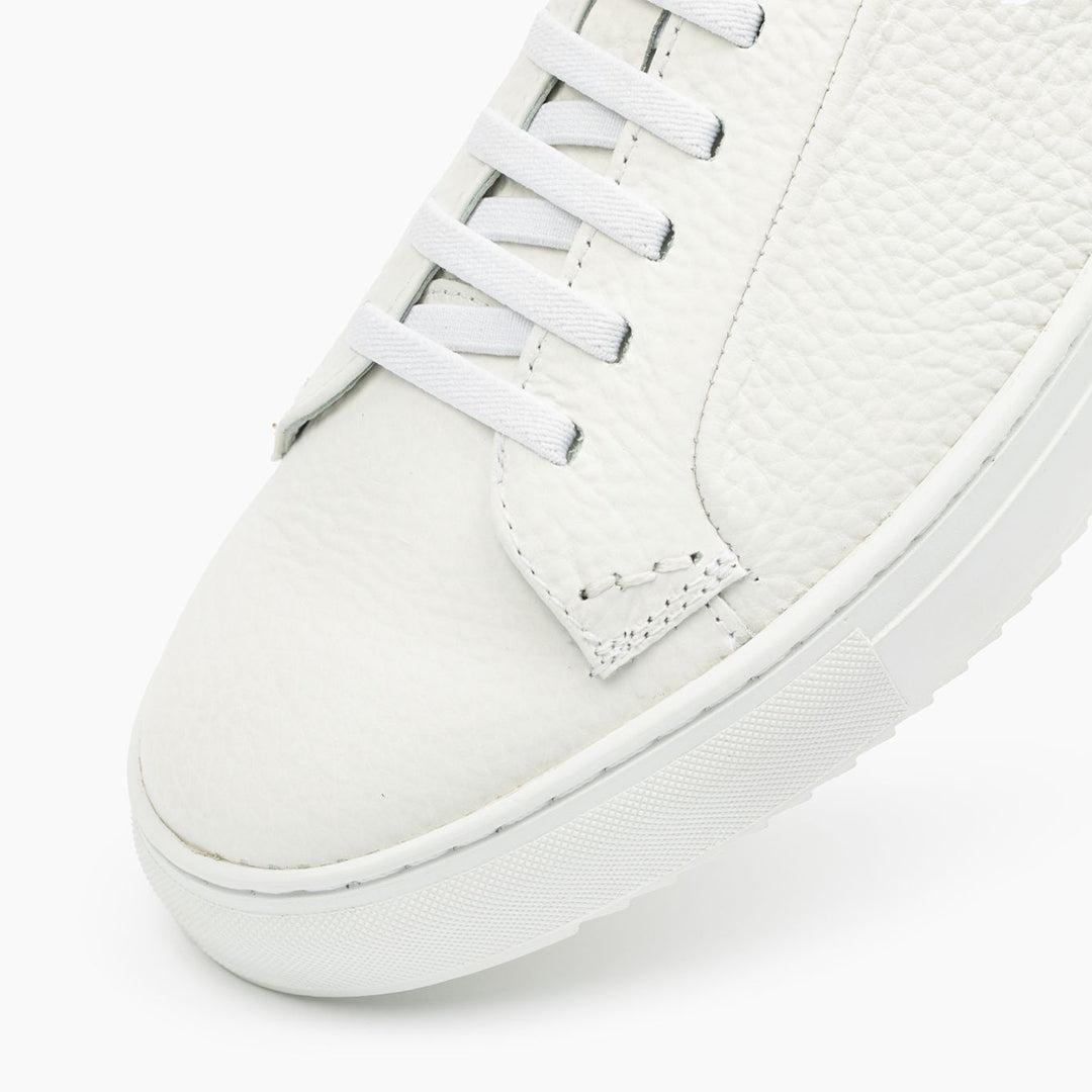 36's Laceless Low Top Product Image