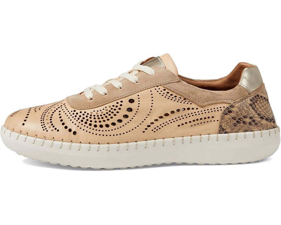 Picasa Product Image