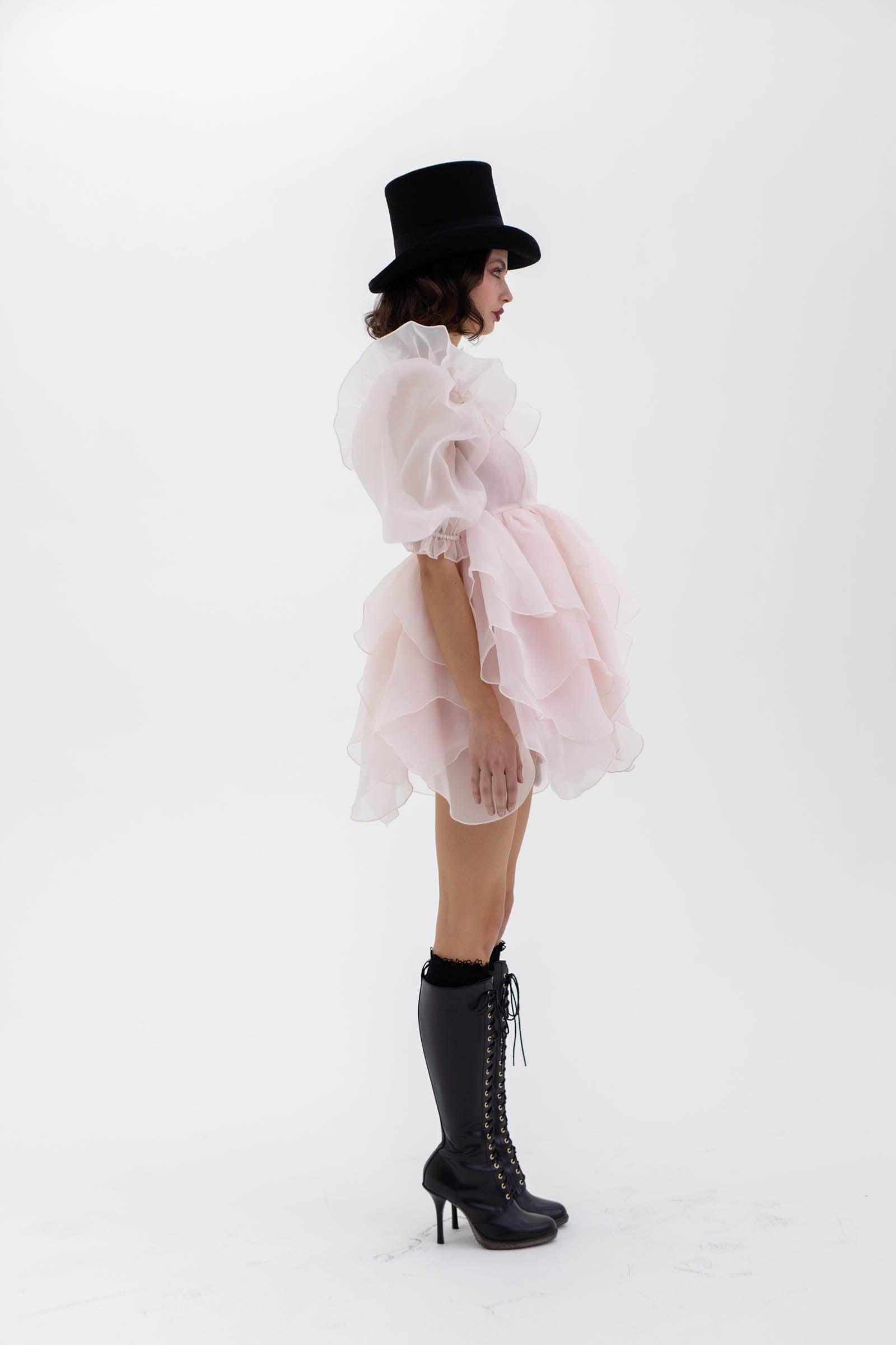 The Peach Skin Rose Petal Puff Dress Product Image