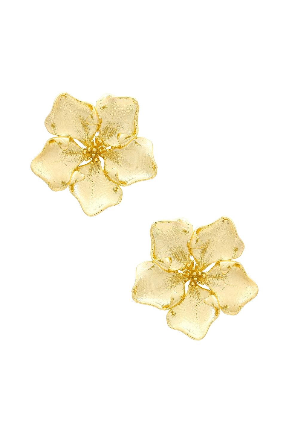 Iys Earring SHASHI Product Image