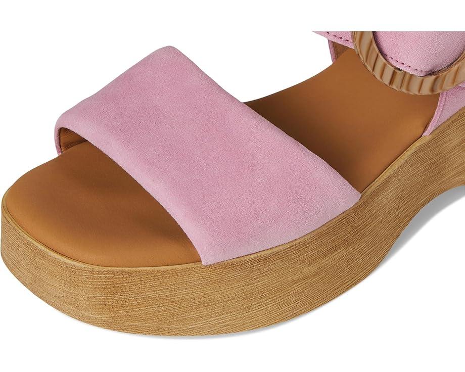 MSRP: $199(10% OFF) Product Image