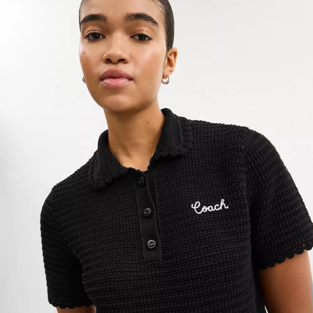 Knit Cropped Polo Product Image