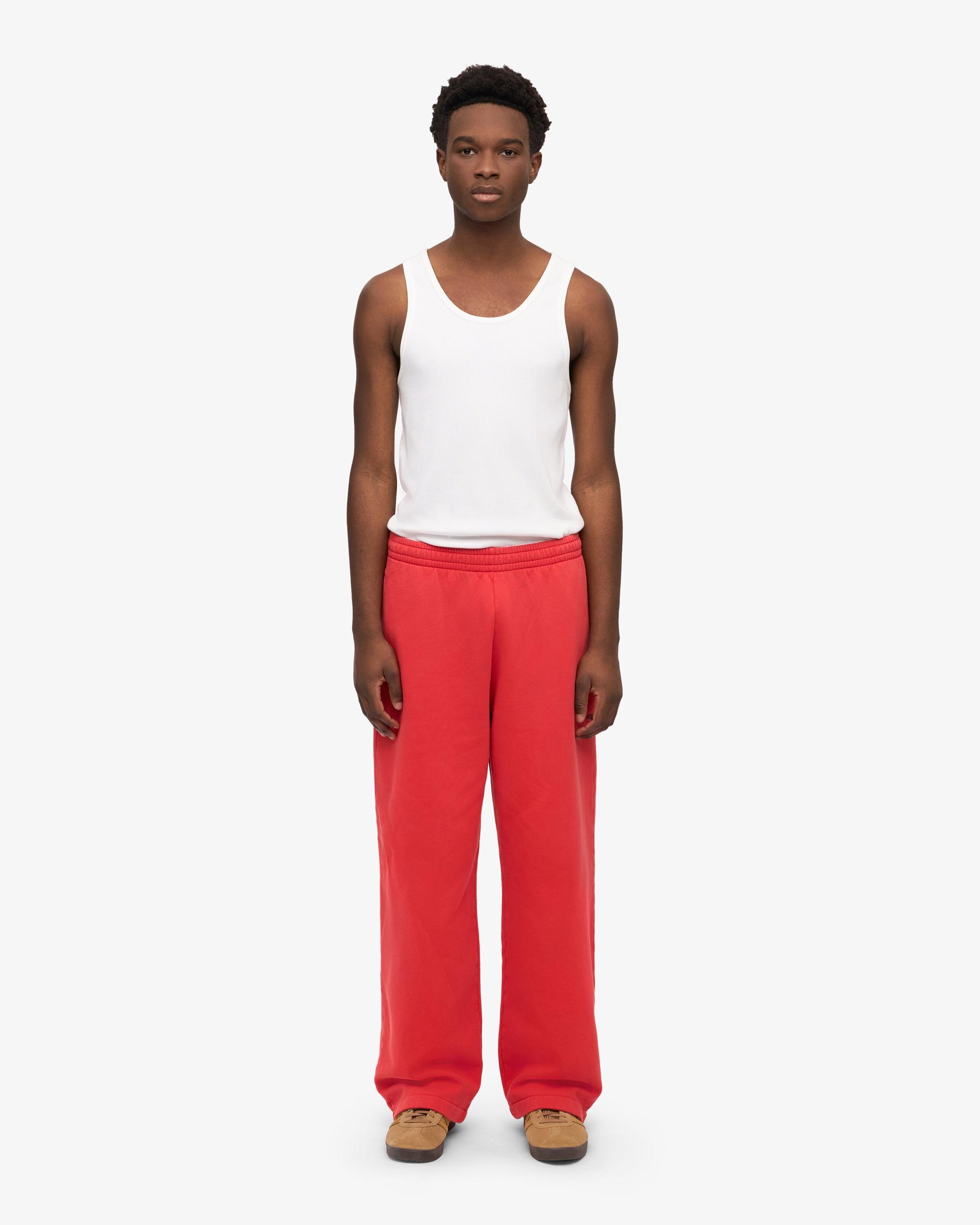 Organic Straight Leg Sweatpants - Midnight Forest Product Image