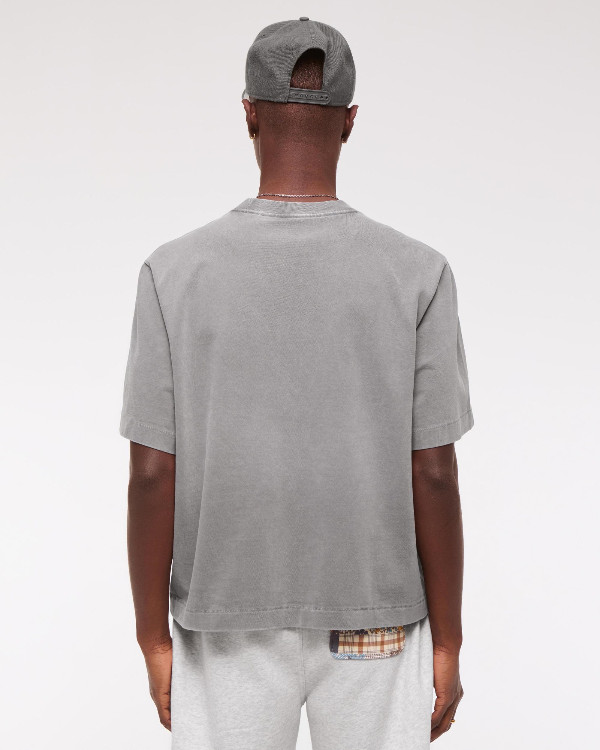 Premium Heavyweight Cropped Tee Product Image