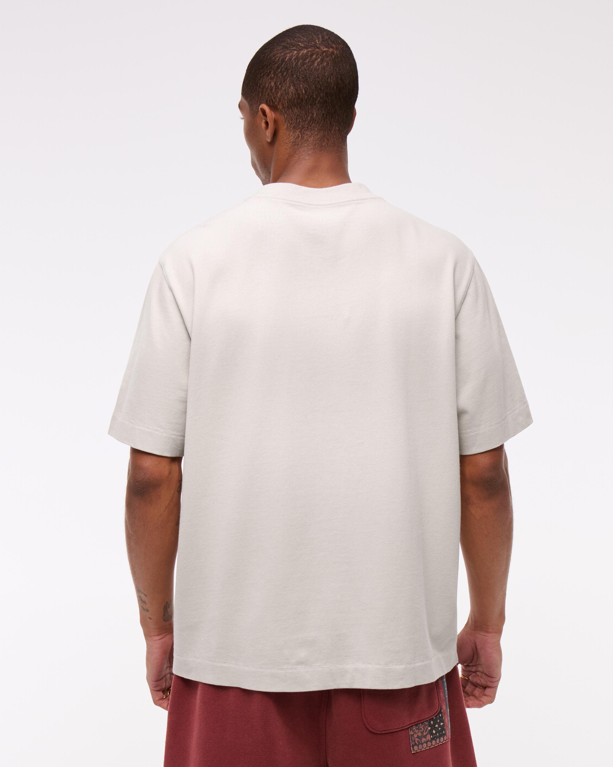 Premium Heavyweight 2.0 Tee Product Image