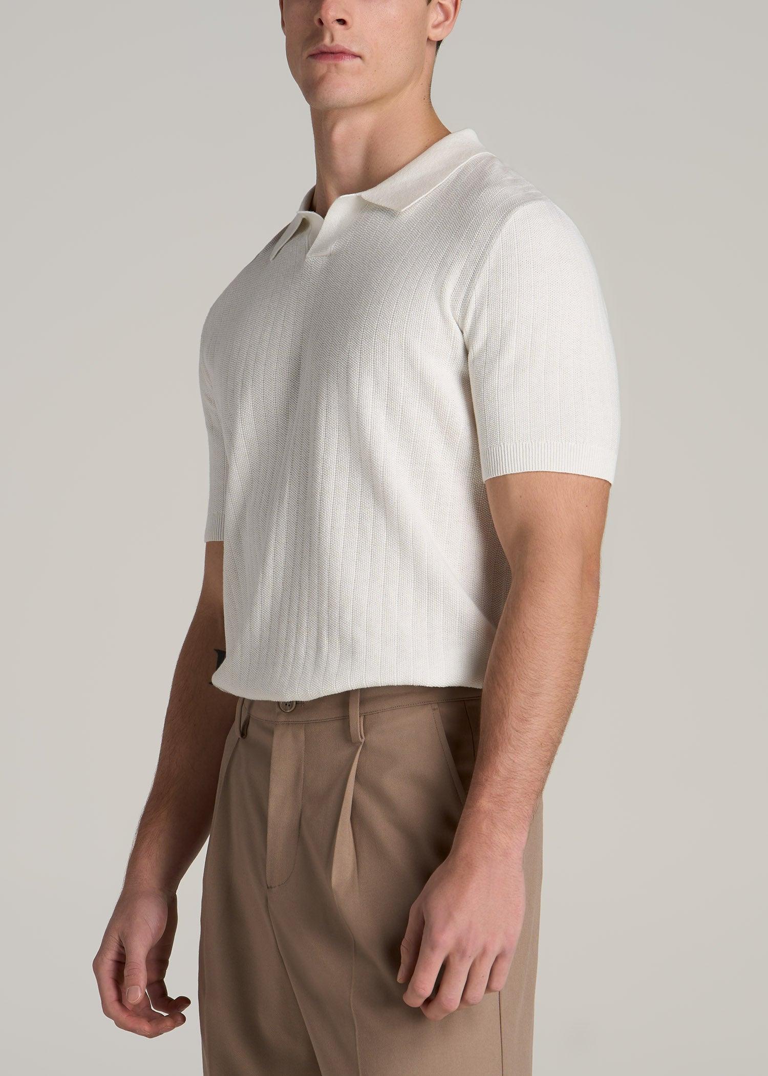 Linen Blend Ribbed Knit Polo Shirt for Tall Men in Stone Male Product Image