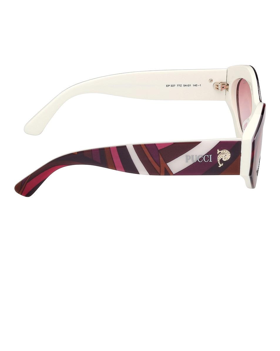 Oval Sunglasses Product Image