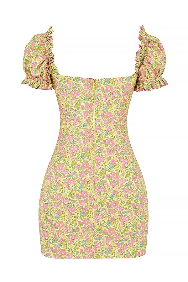 Tanaya  vintage floral puff sleeve mini dress Product Image