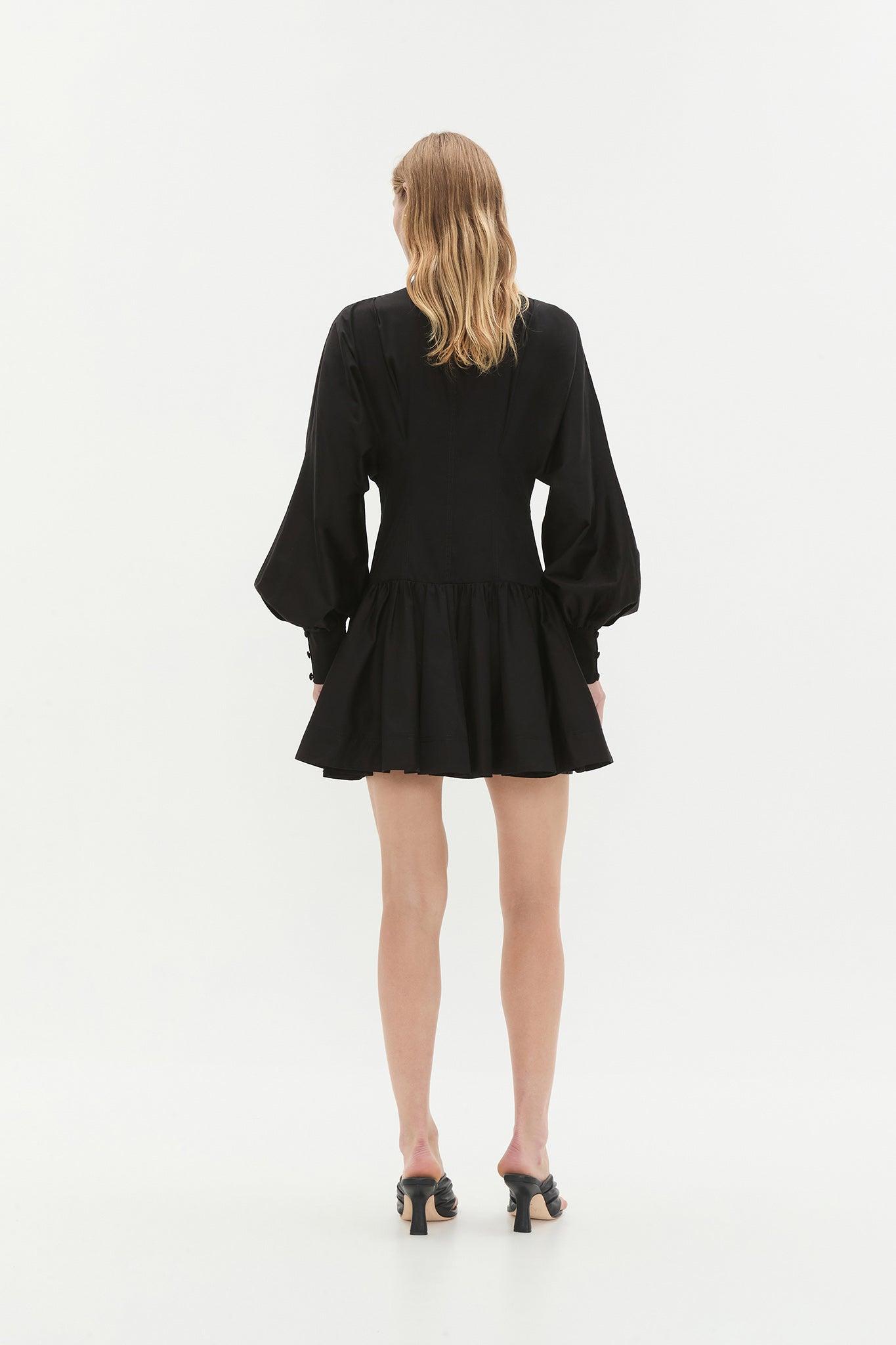 Alexa Long Sleeve Mini Dress Product Image