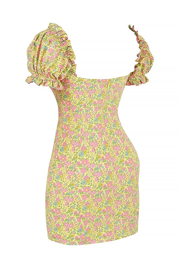 Tanaya  vintage floral puff sleeve mini dress Product Image